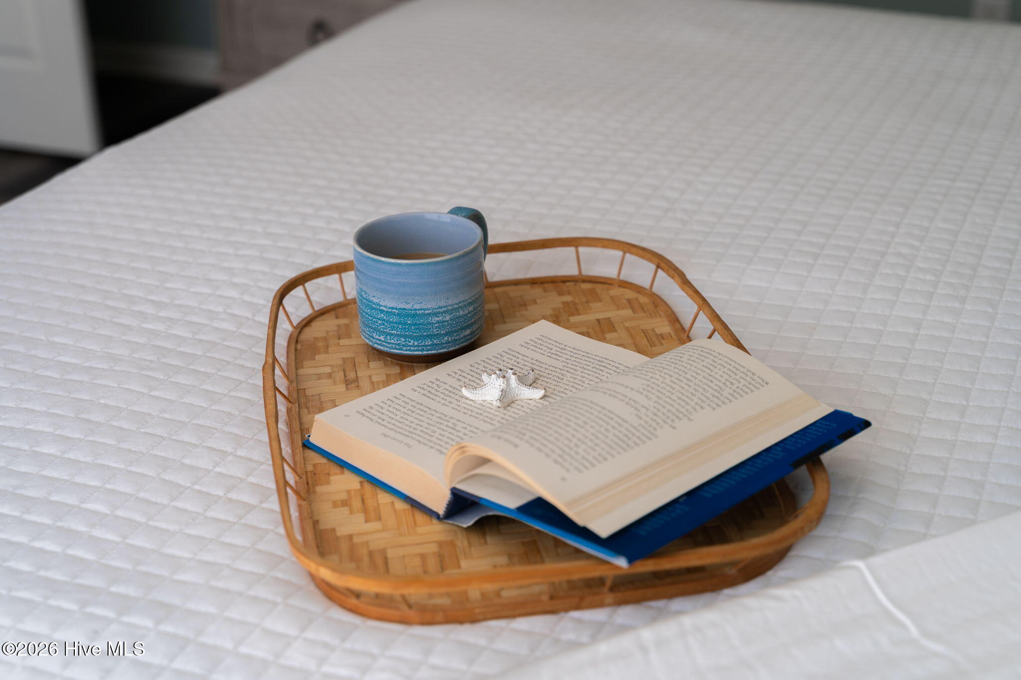 100561667 | Photo 84