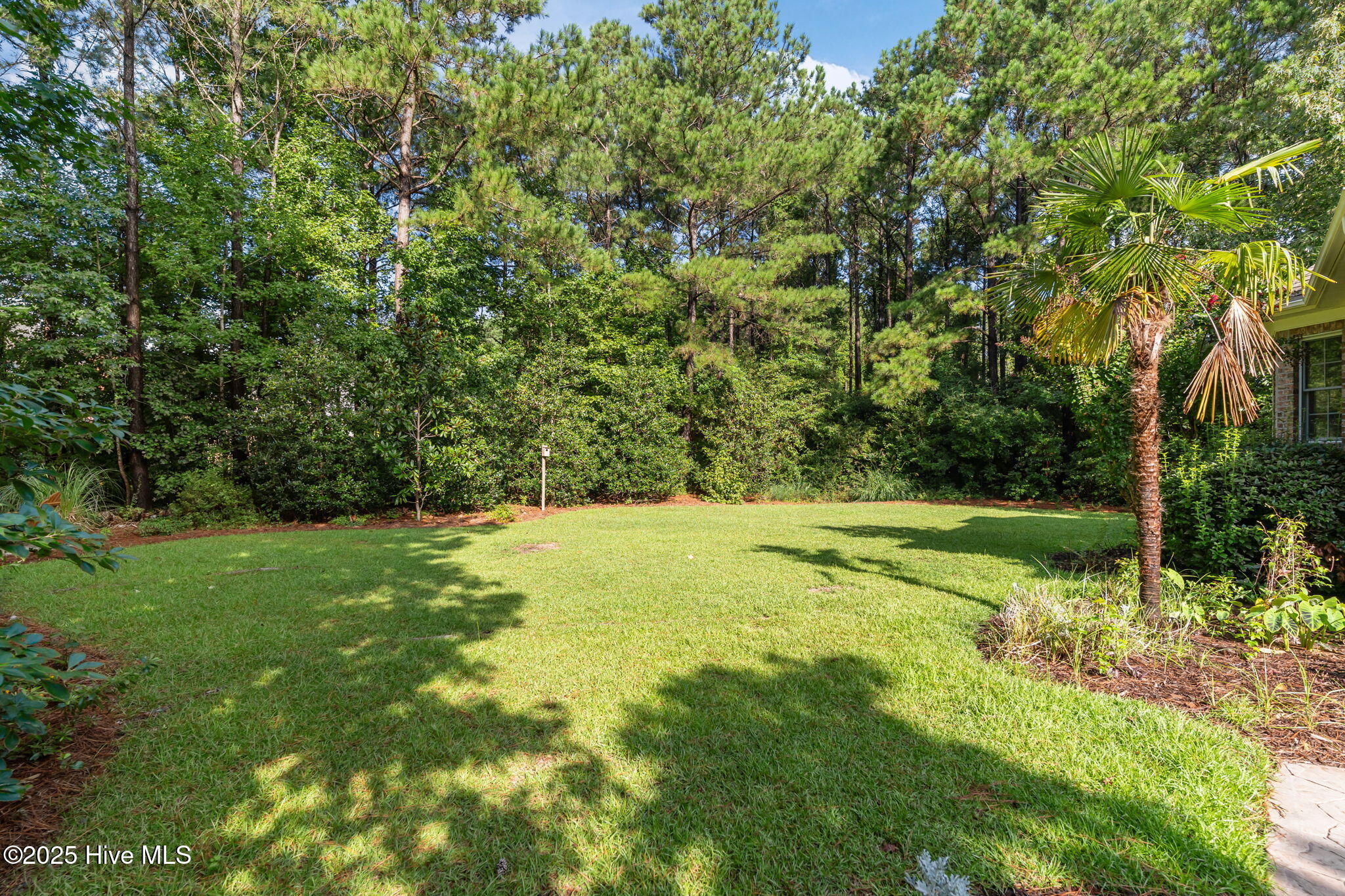 100524076 | Photo 45