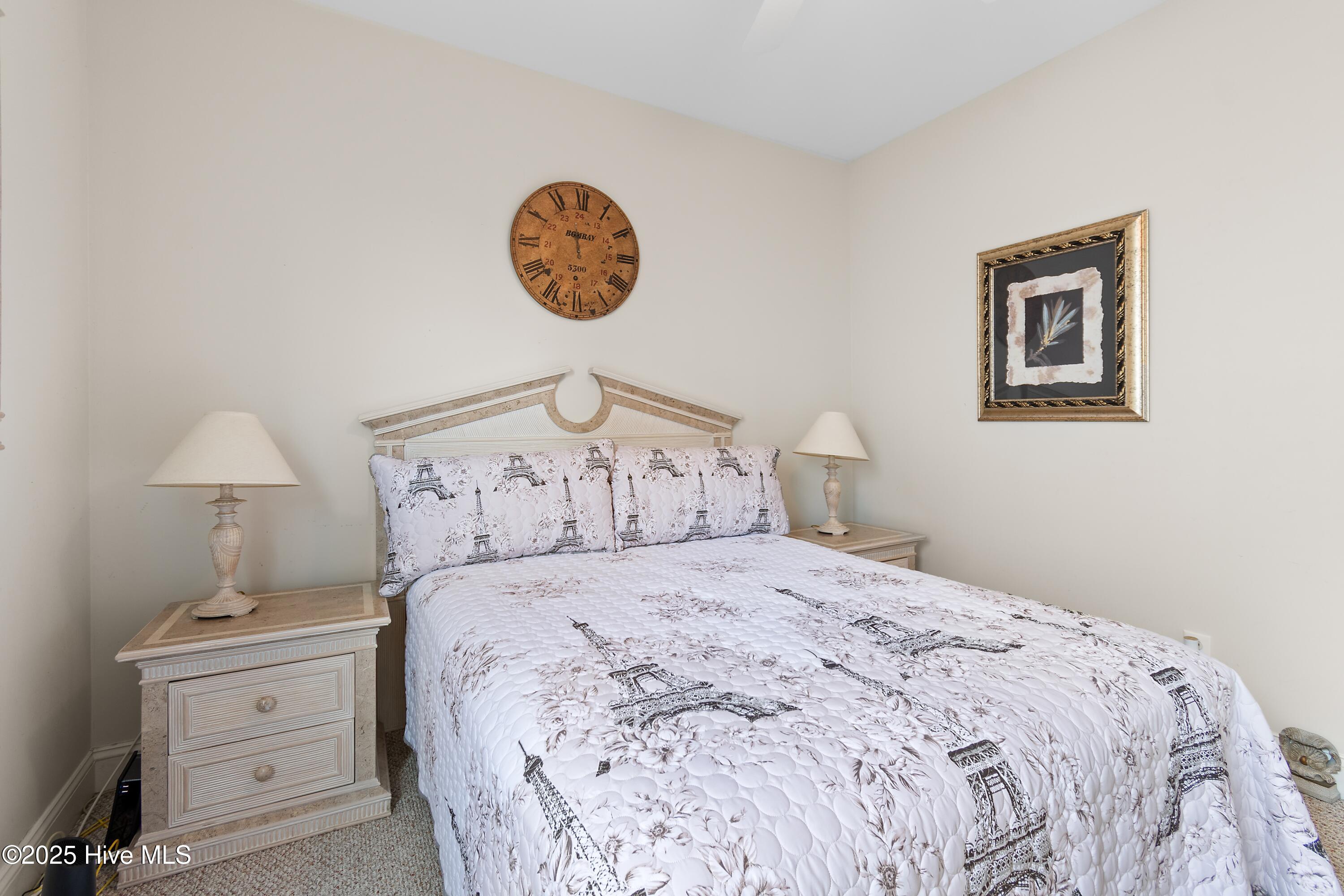 100535249 | Photo 12