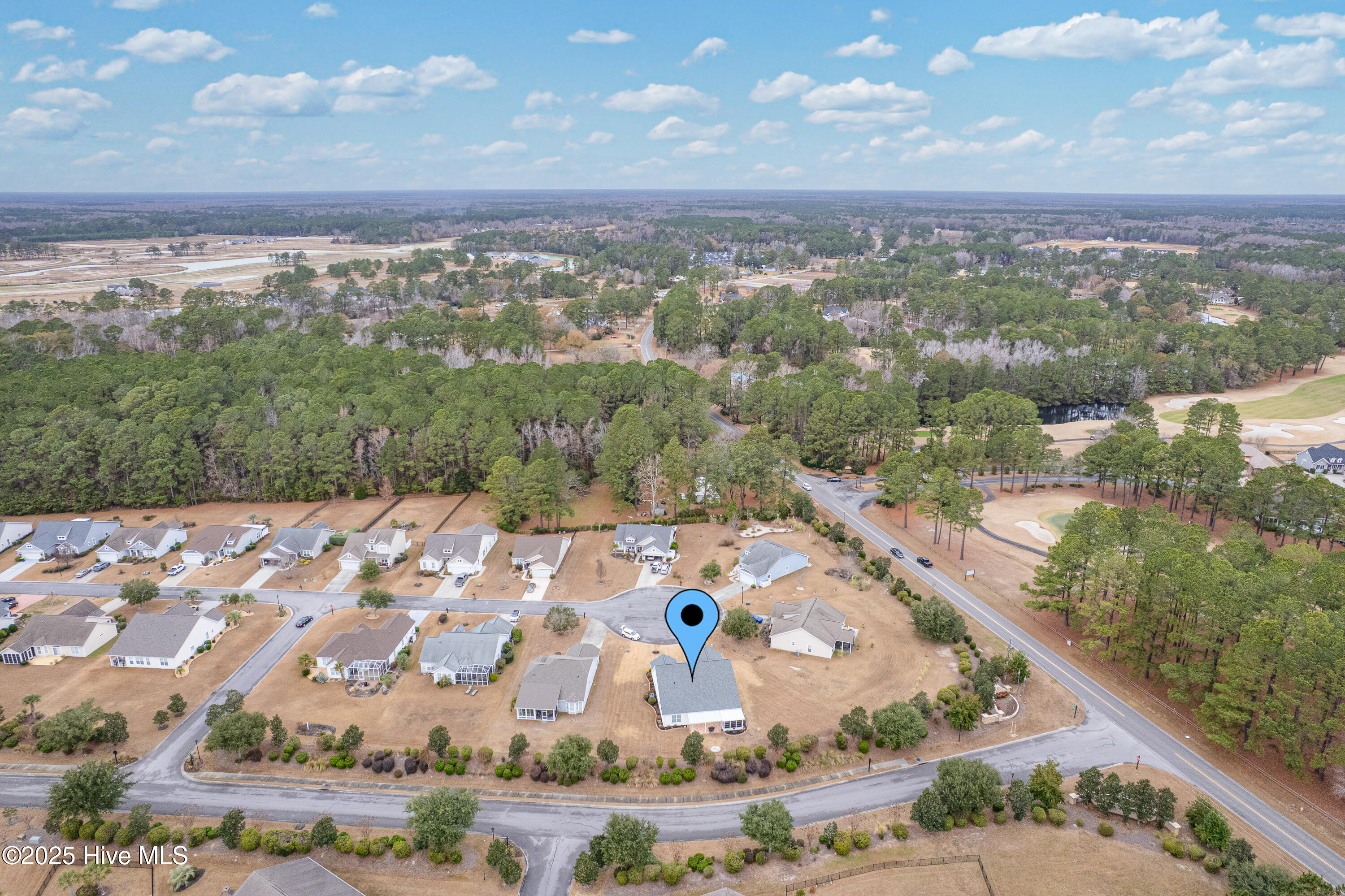 100547221 | Photo 43