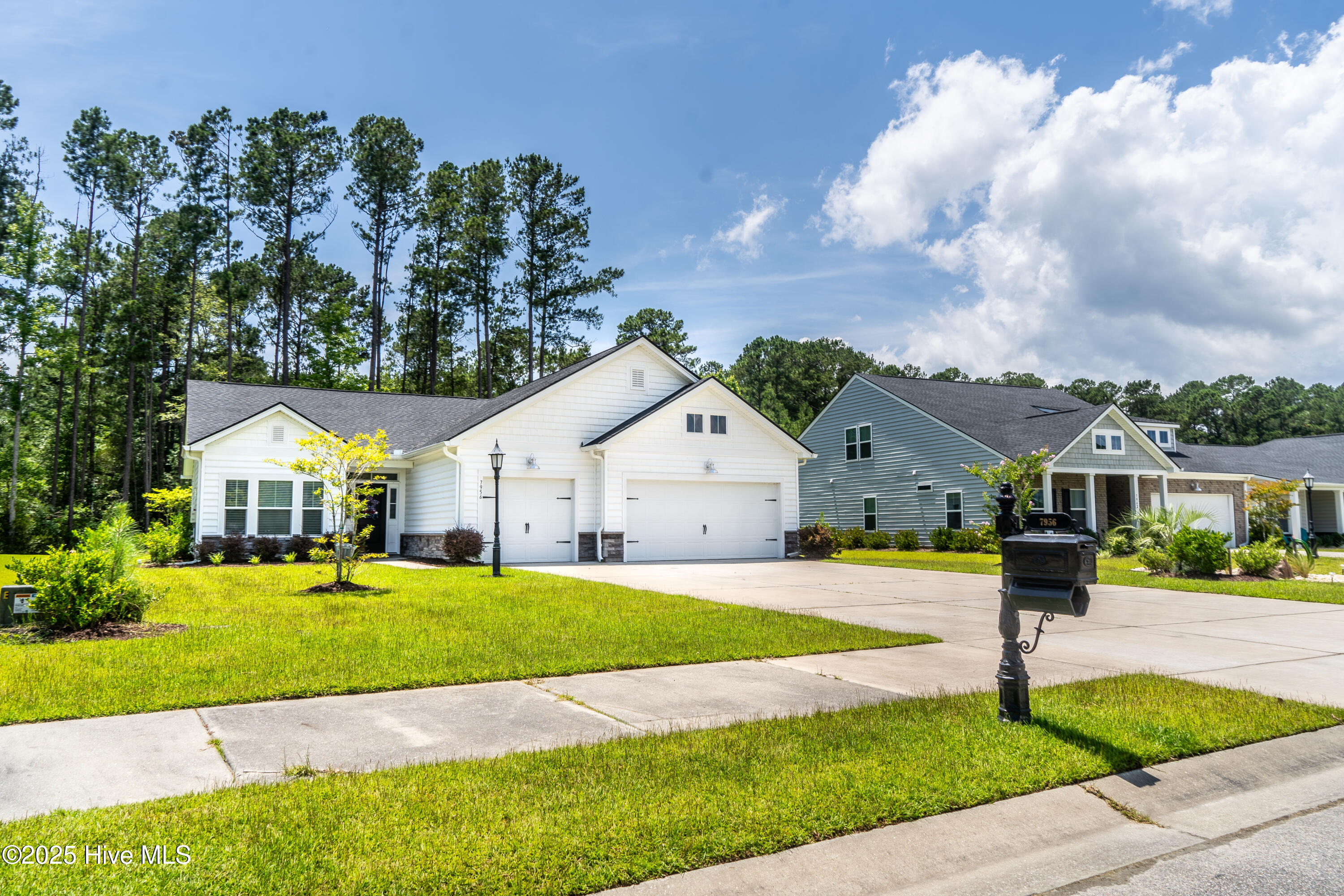 100515314 | Photo 28