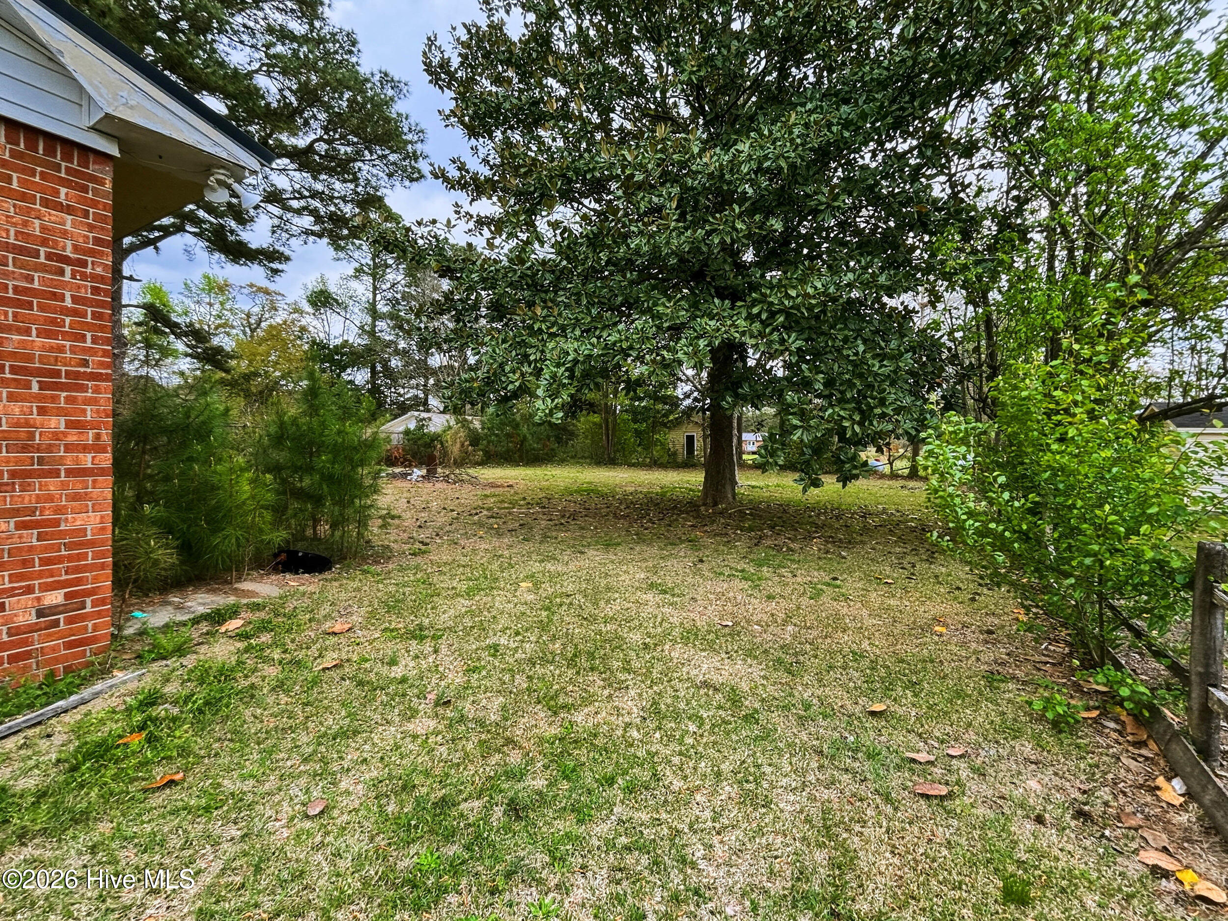 100564233 | Photo 19