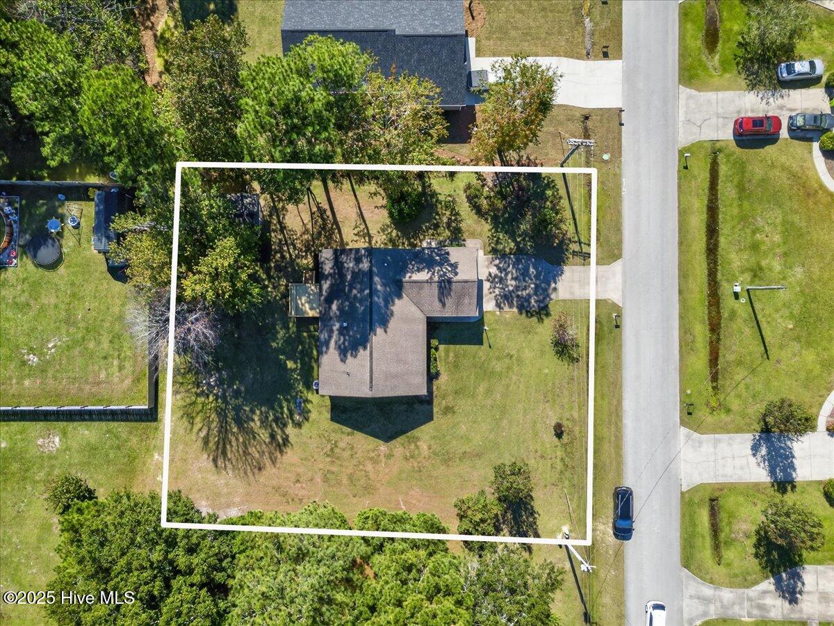 100537242 | Photo 15