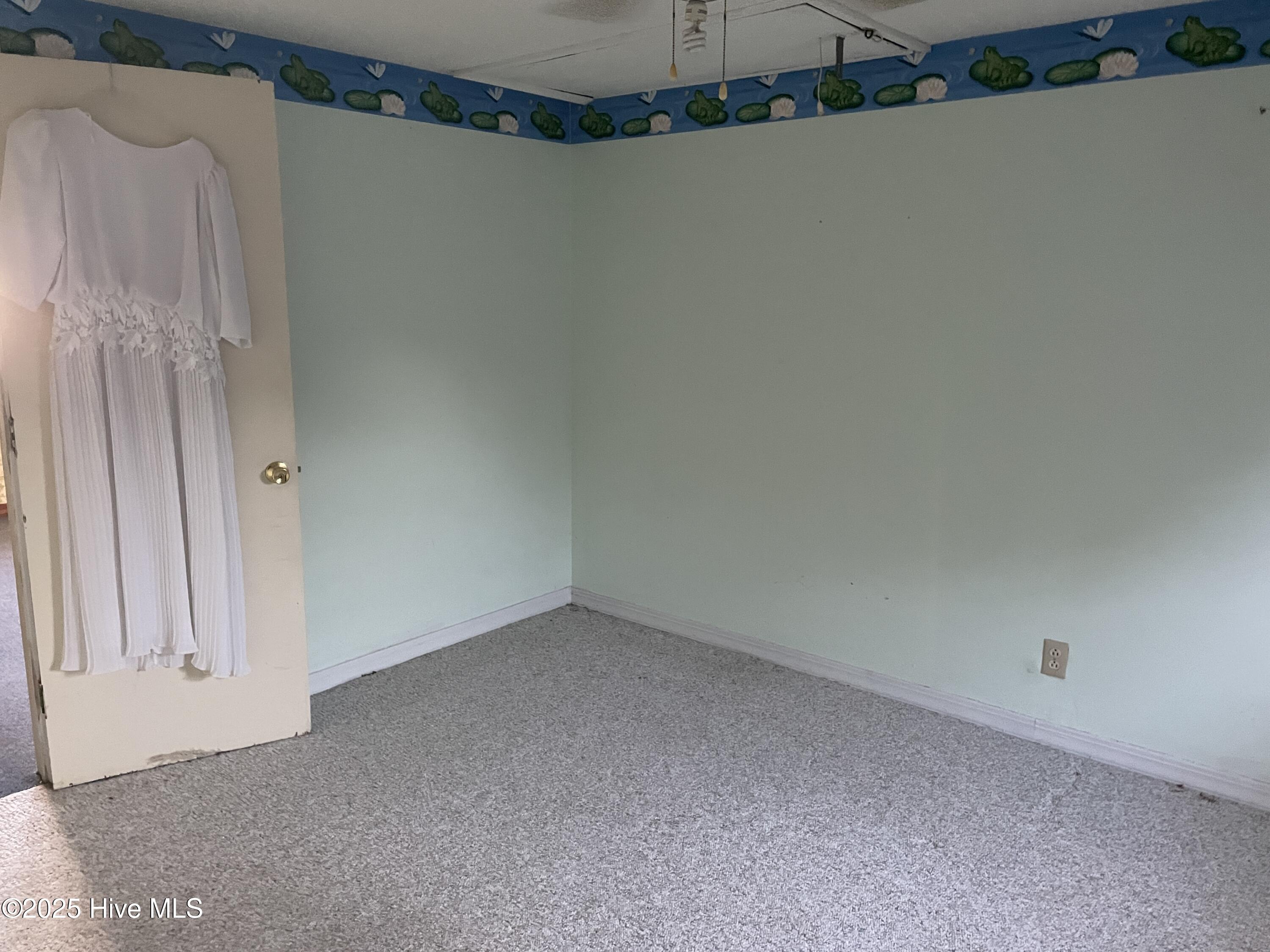 100546227 | Photo 15