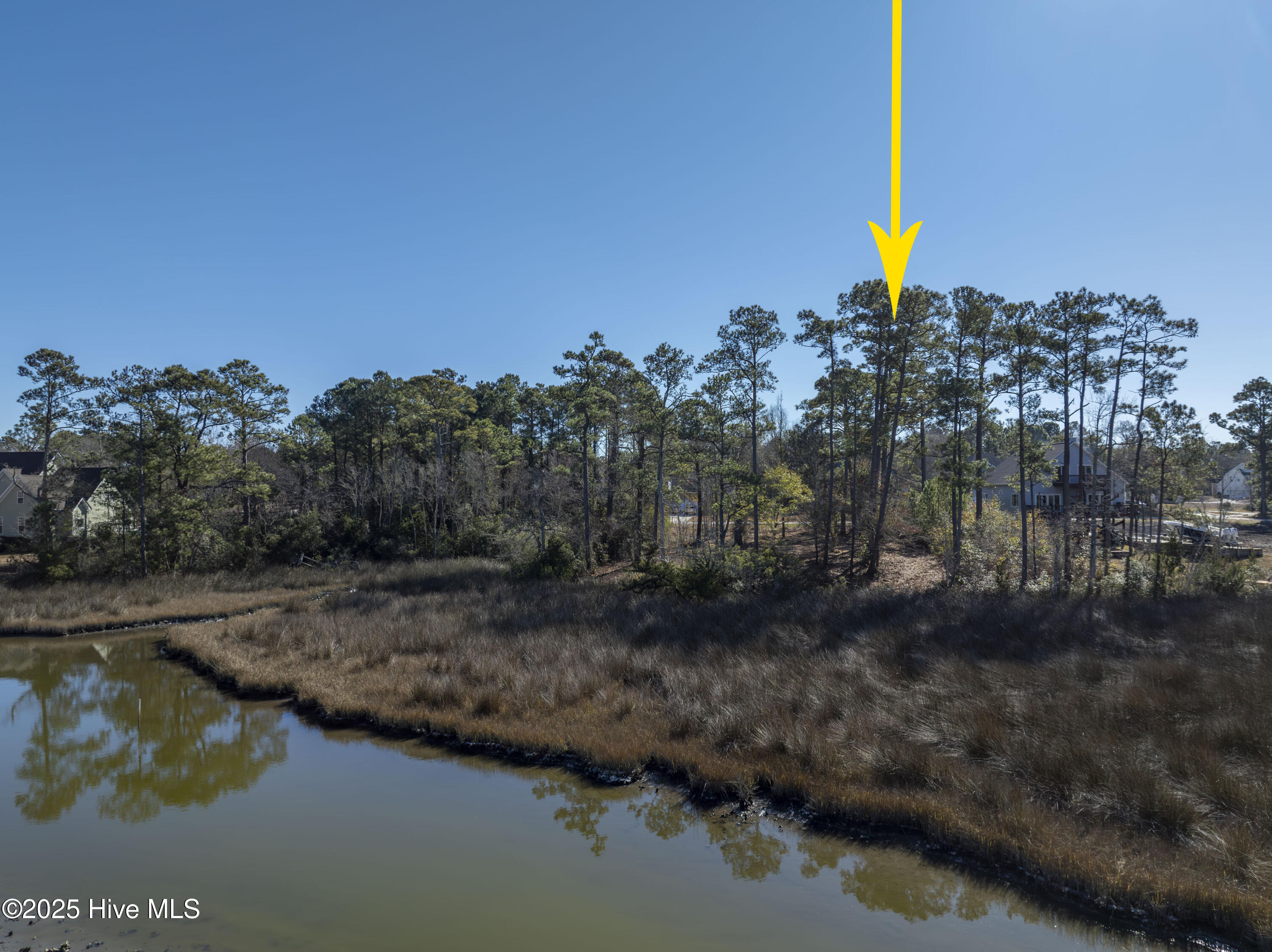 100559086 | Photo 57