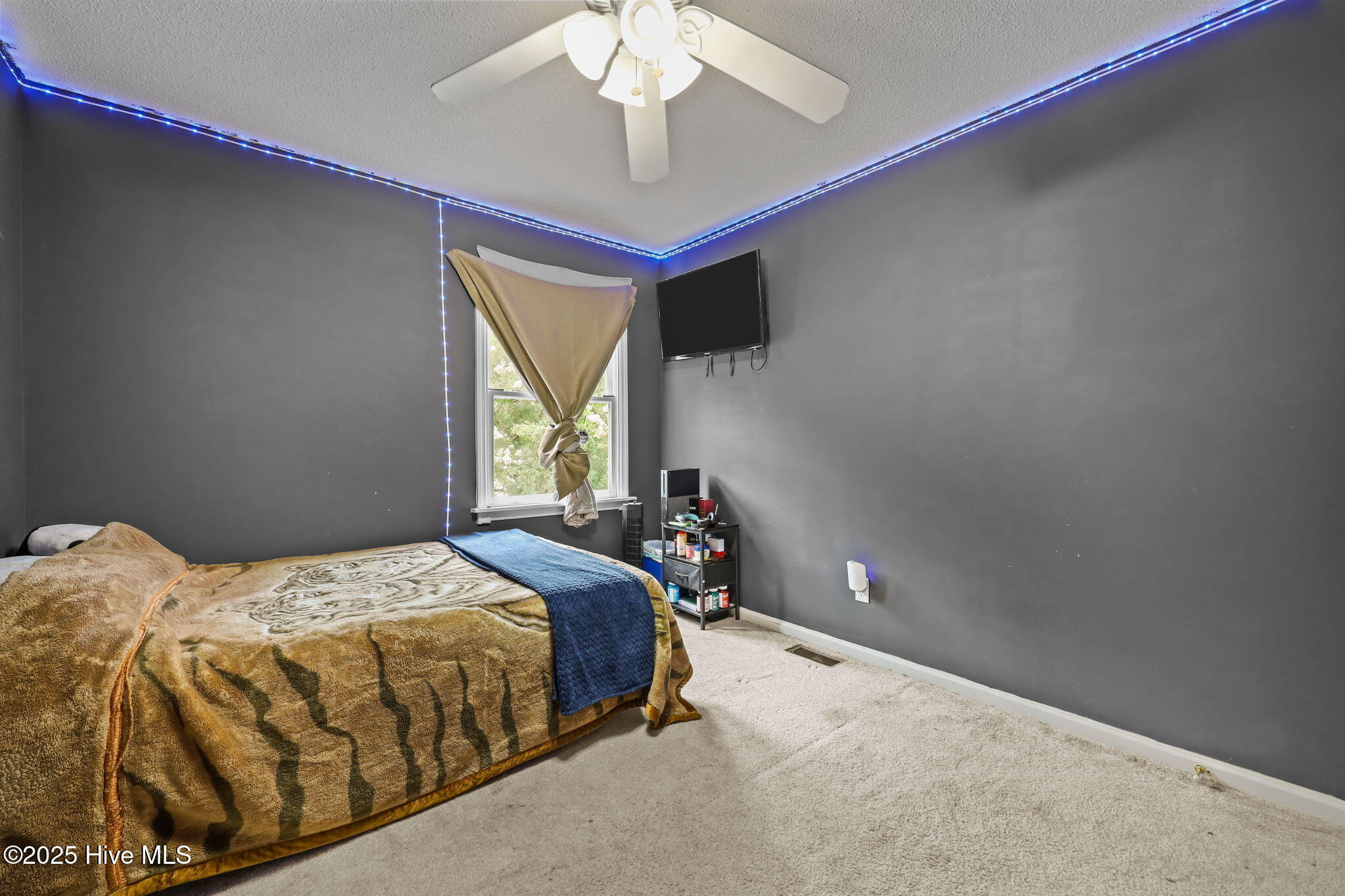 100546083 | Photo 15