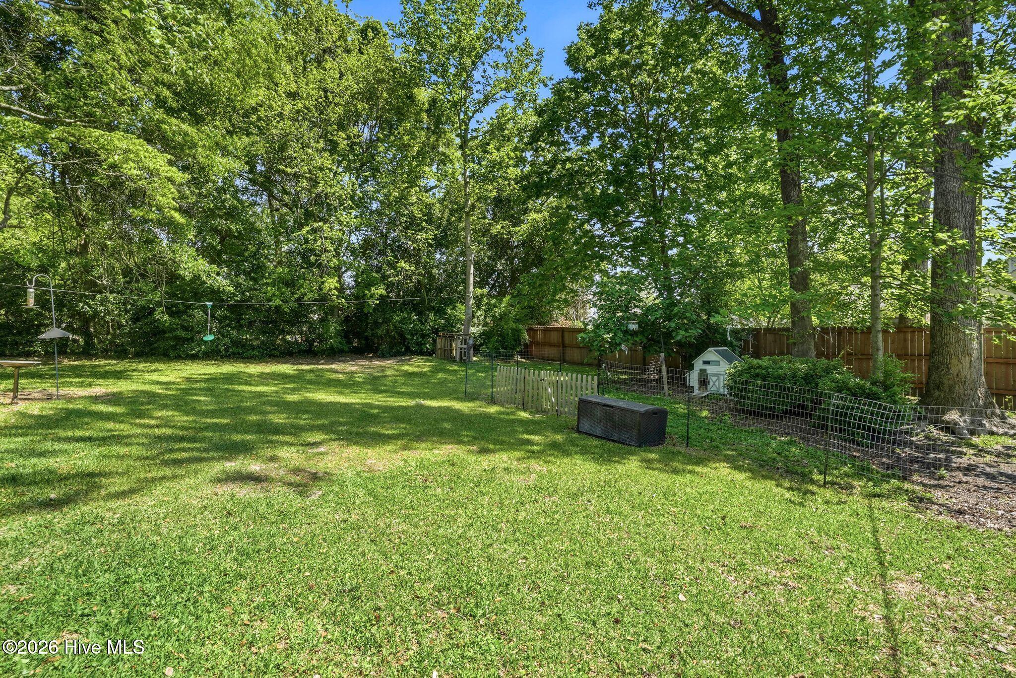 100568648 | Photo 64