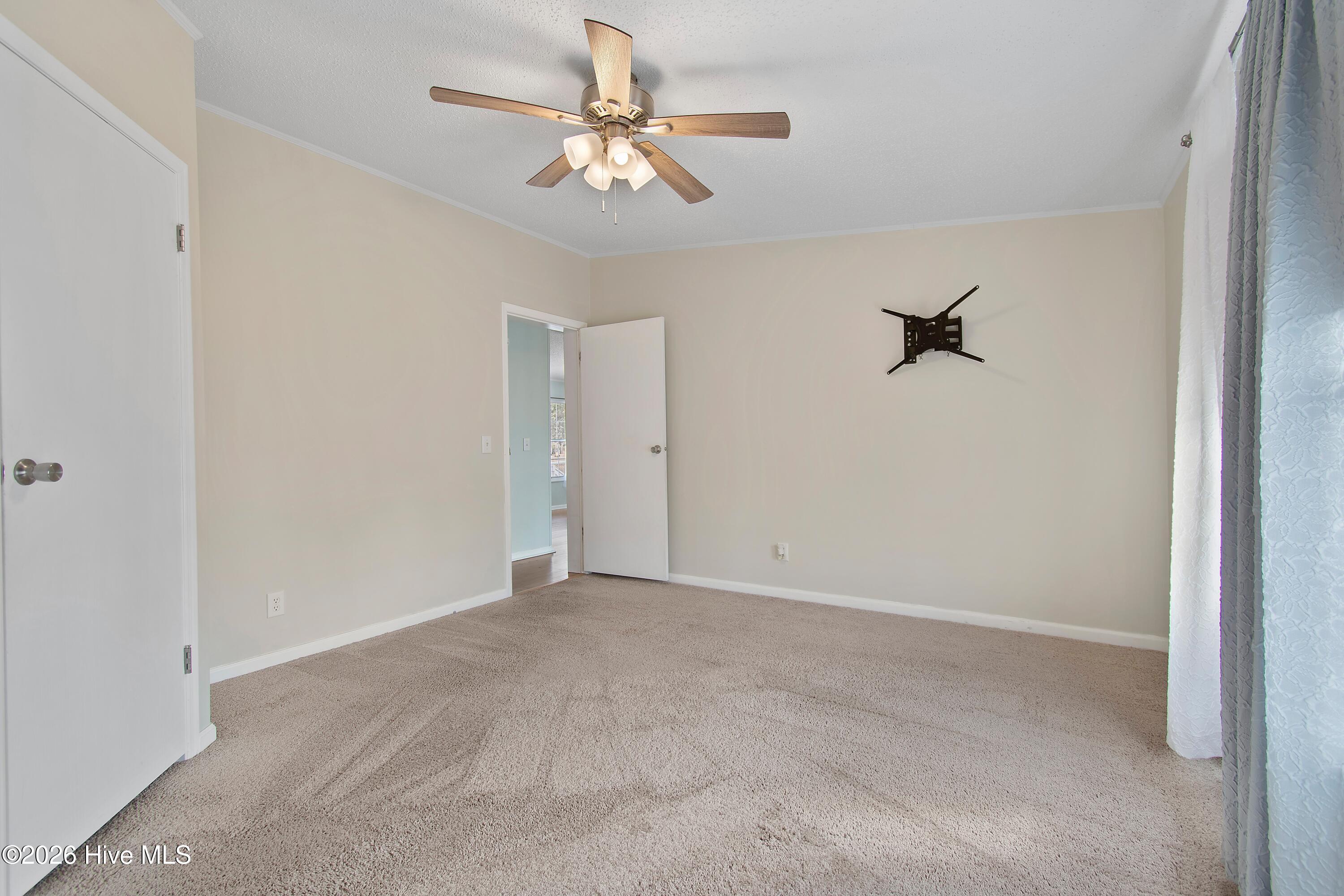 100553657 | Photo 23