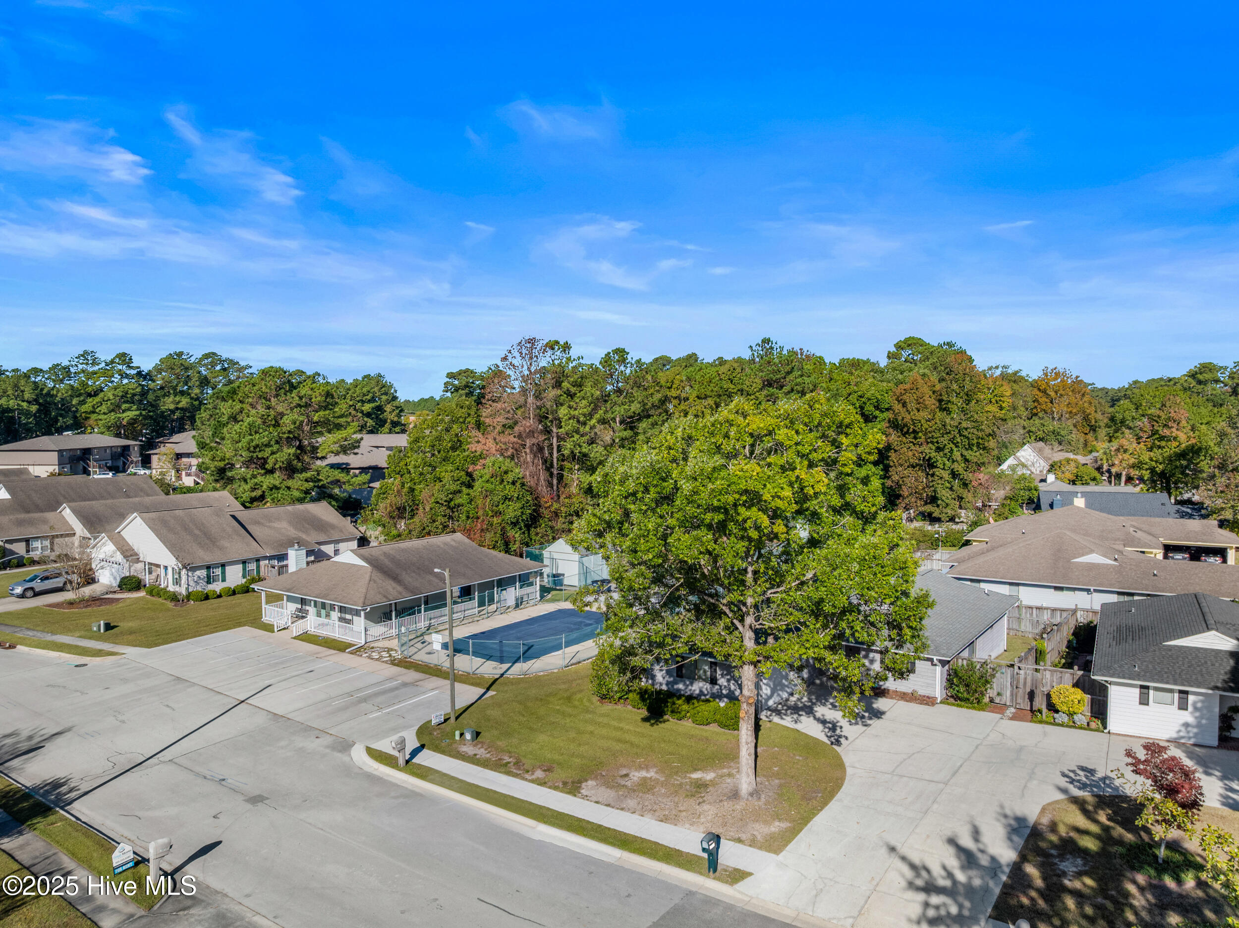 100538354 | Photo 54