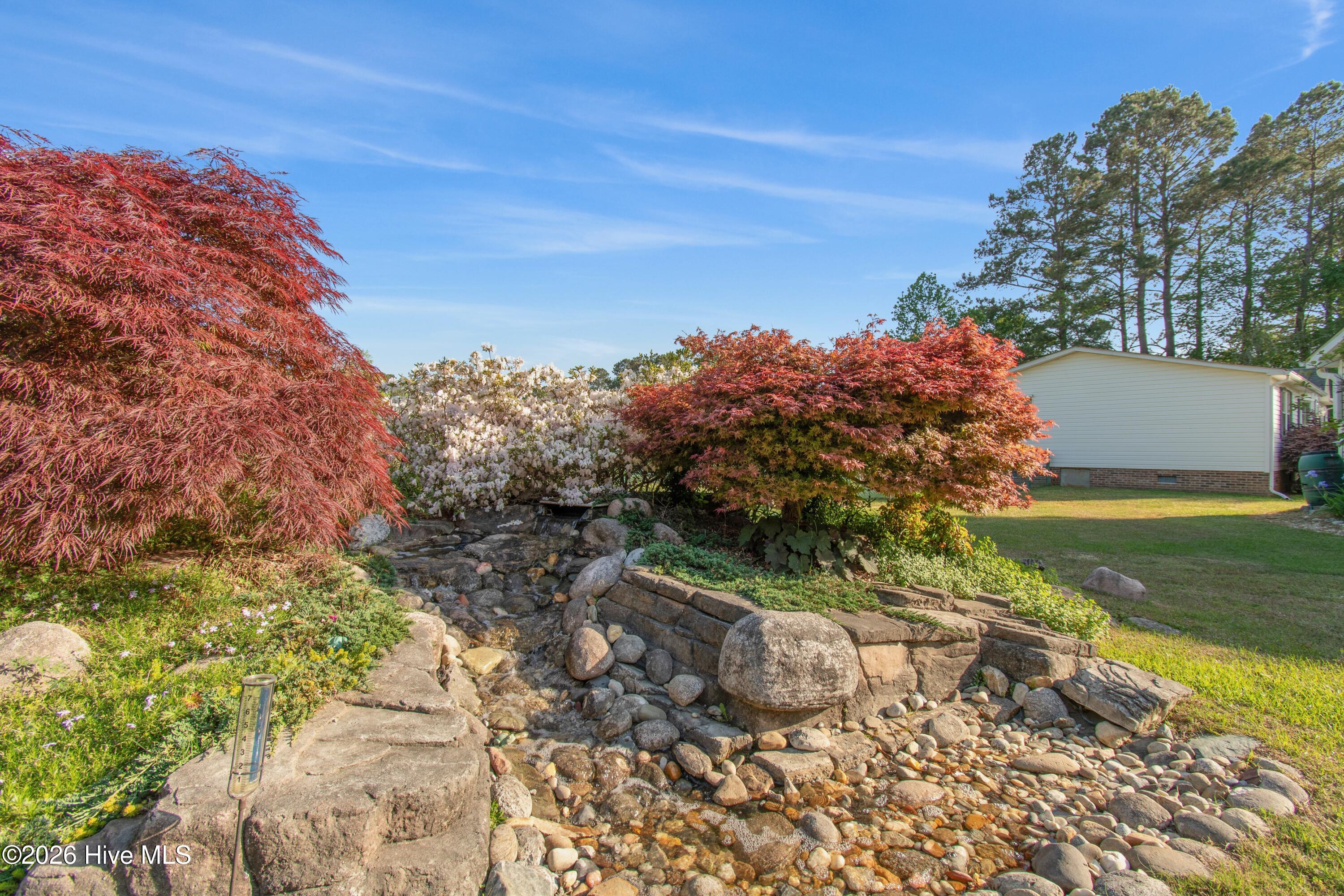 100568231 | Photo 12