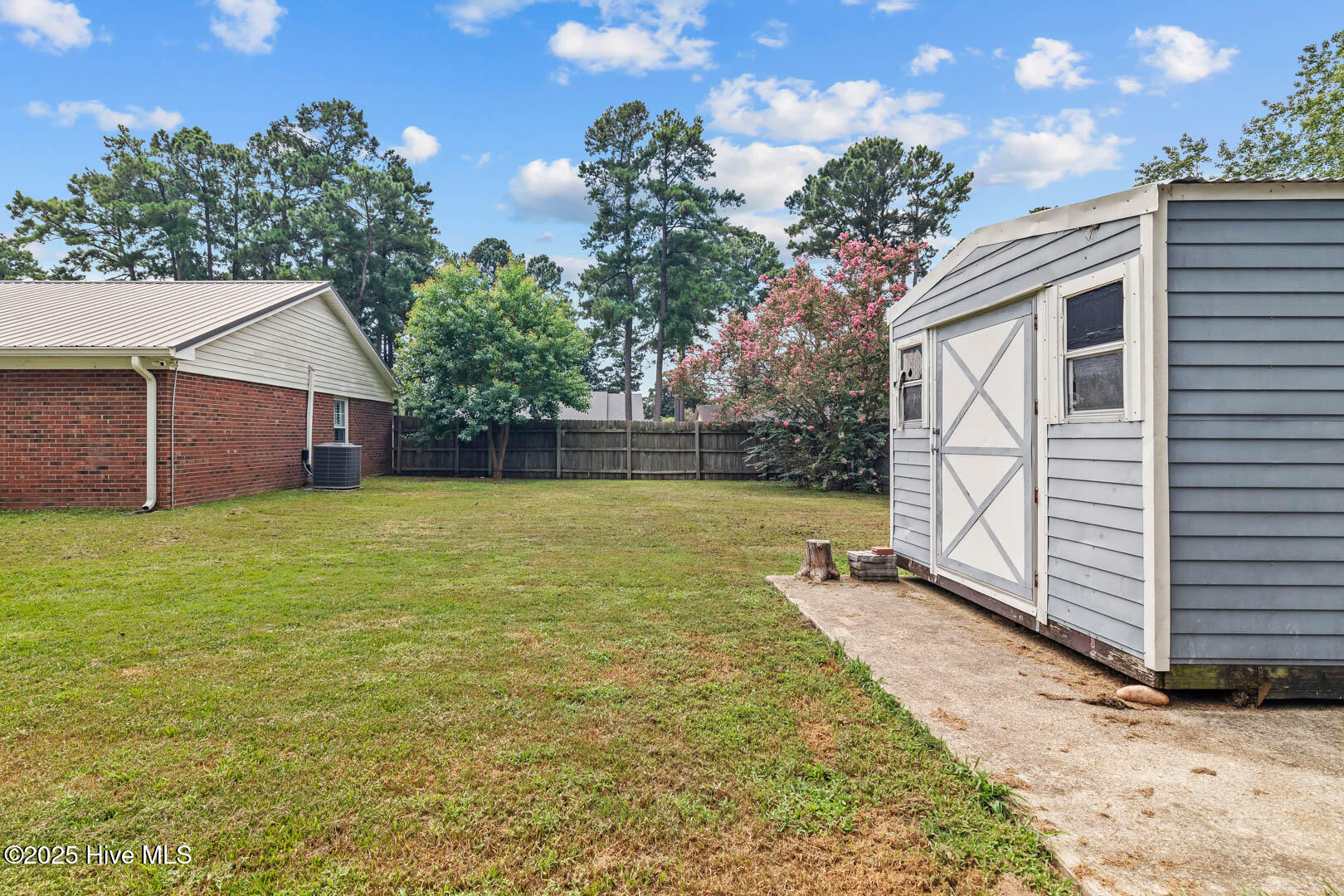 100522484 | Photo 51