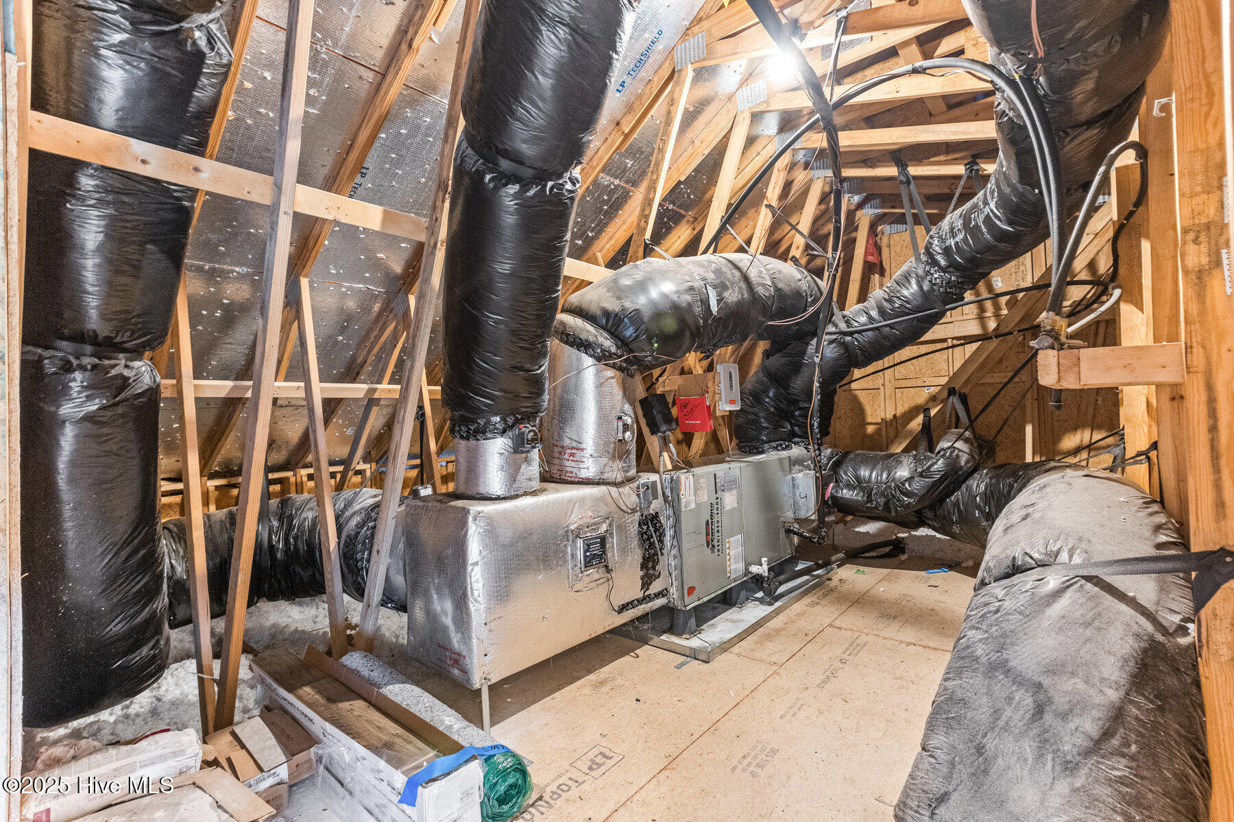 100538755 | Photo 41