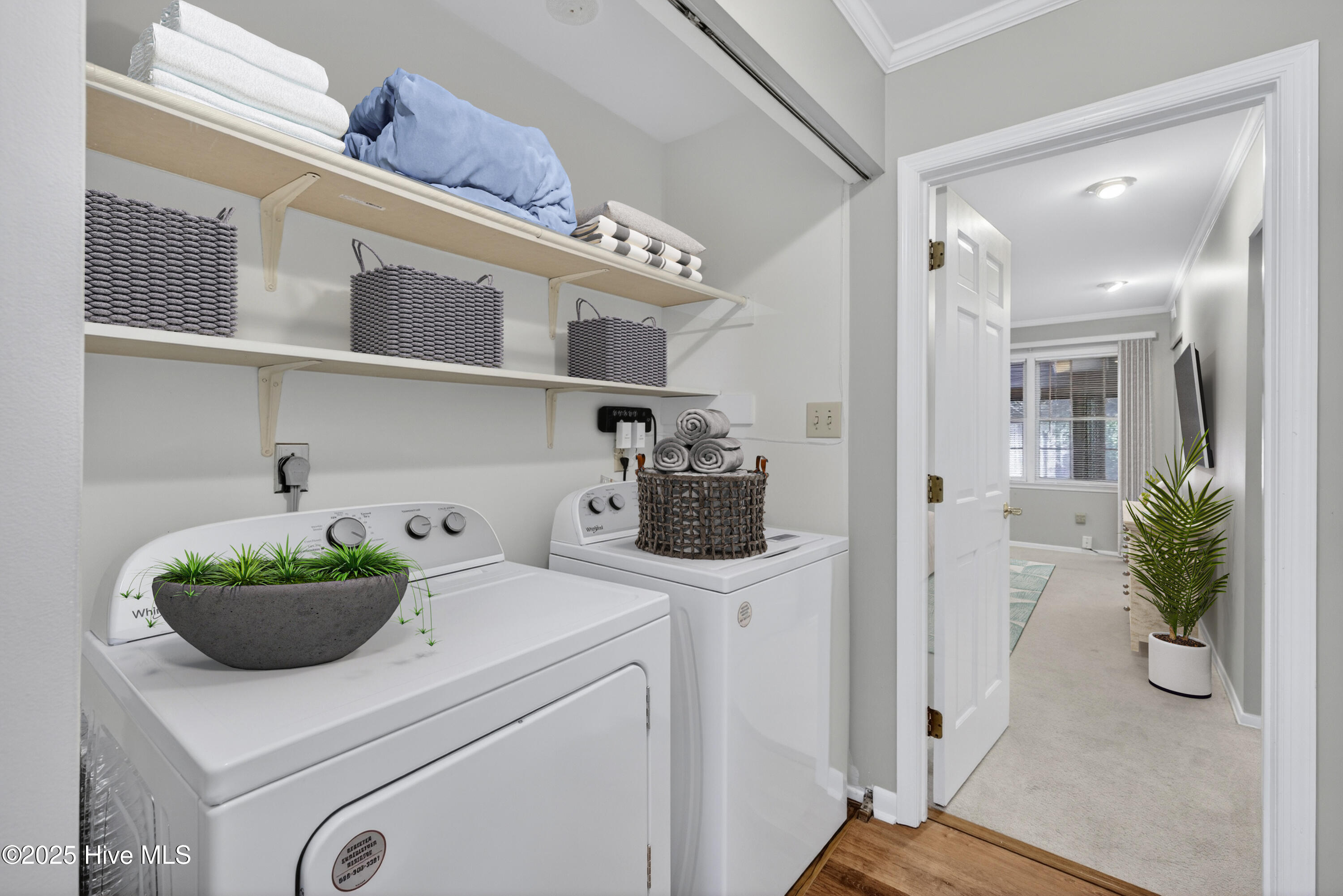 100546761 | Photo 19