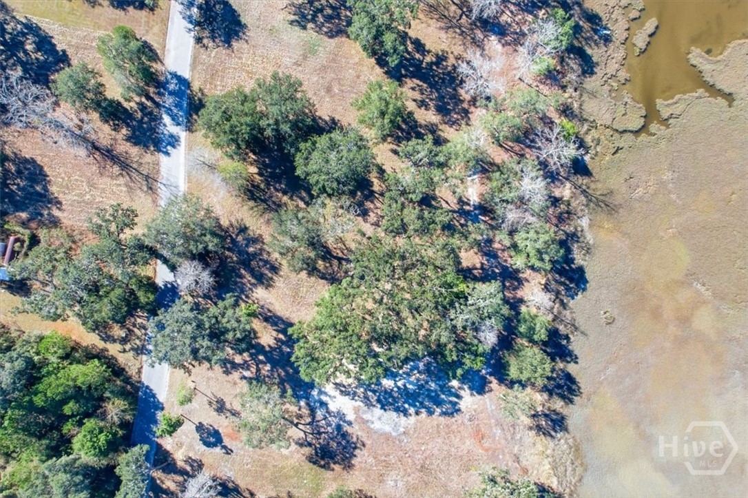 LOT 6 Bermuda Bluff Lane, Midway, GA, 31320