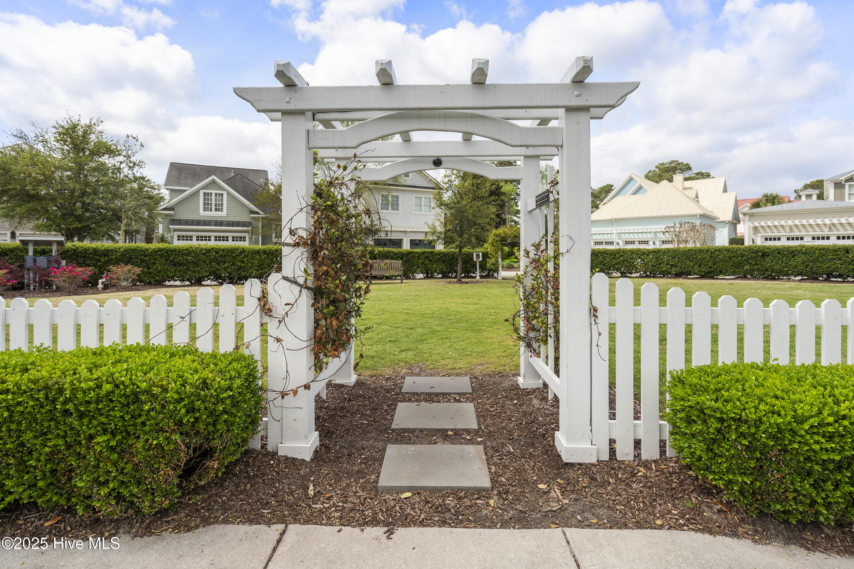 100537551 | Photo 79