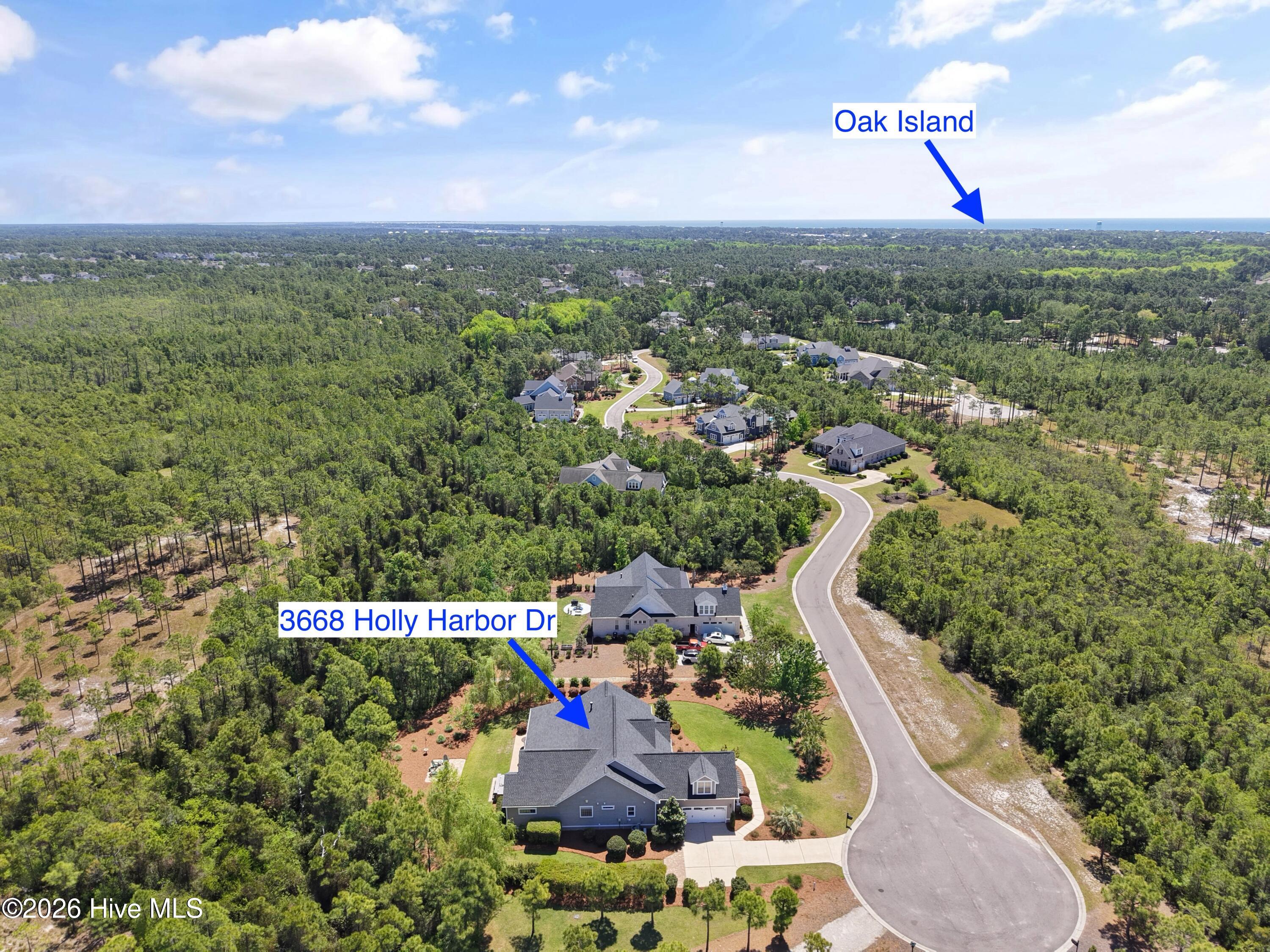 100568990 | Photo 80