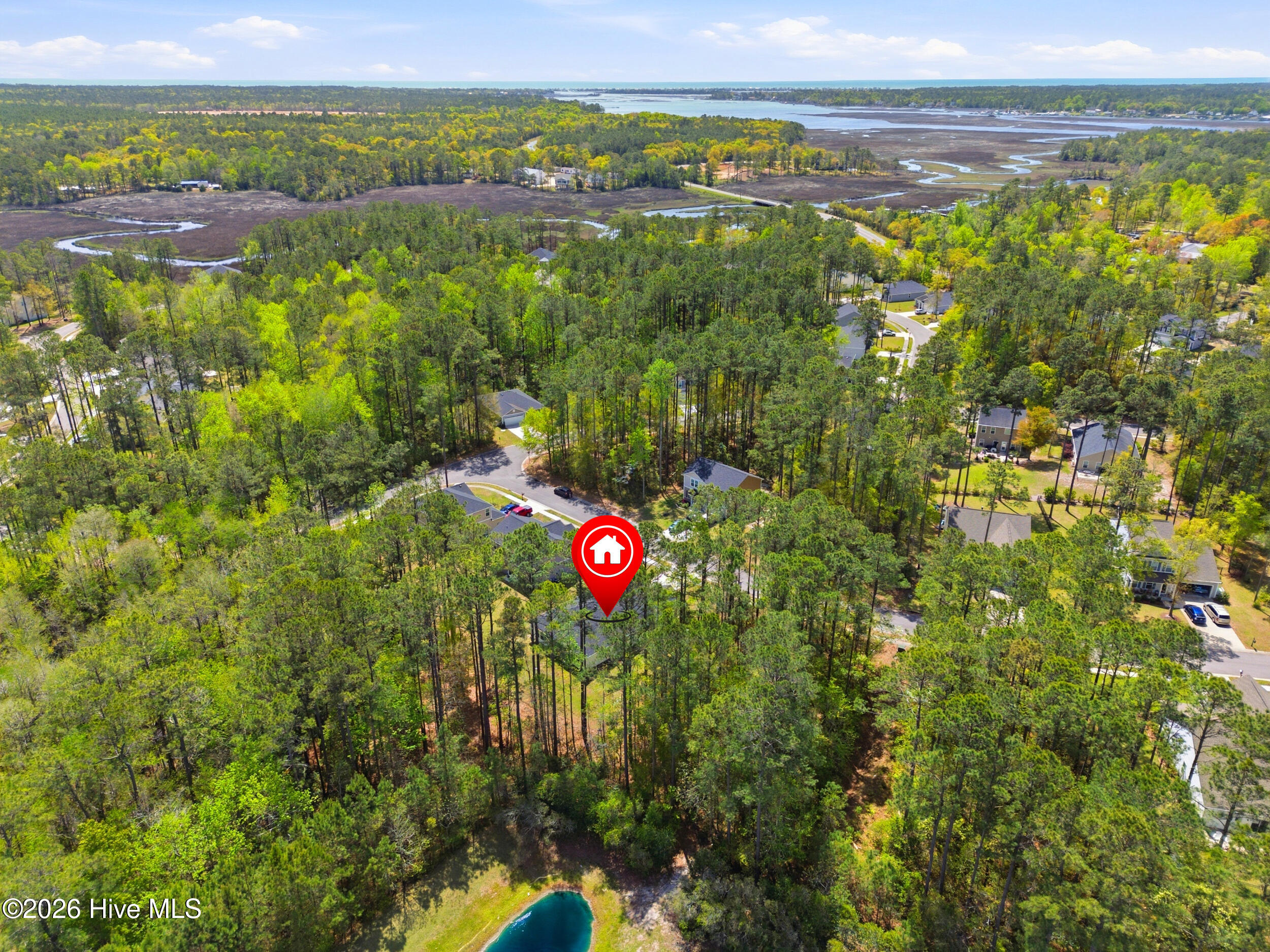 100565948 | Photo 62