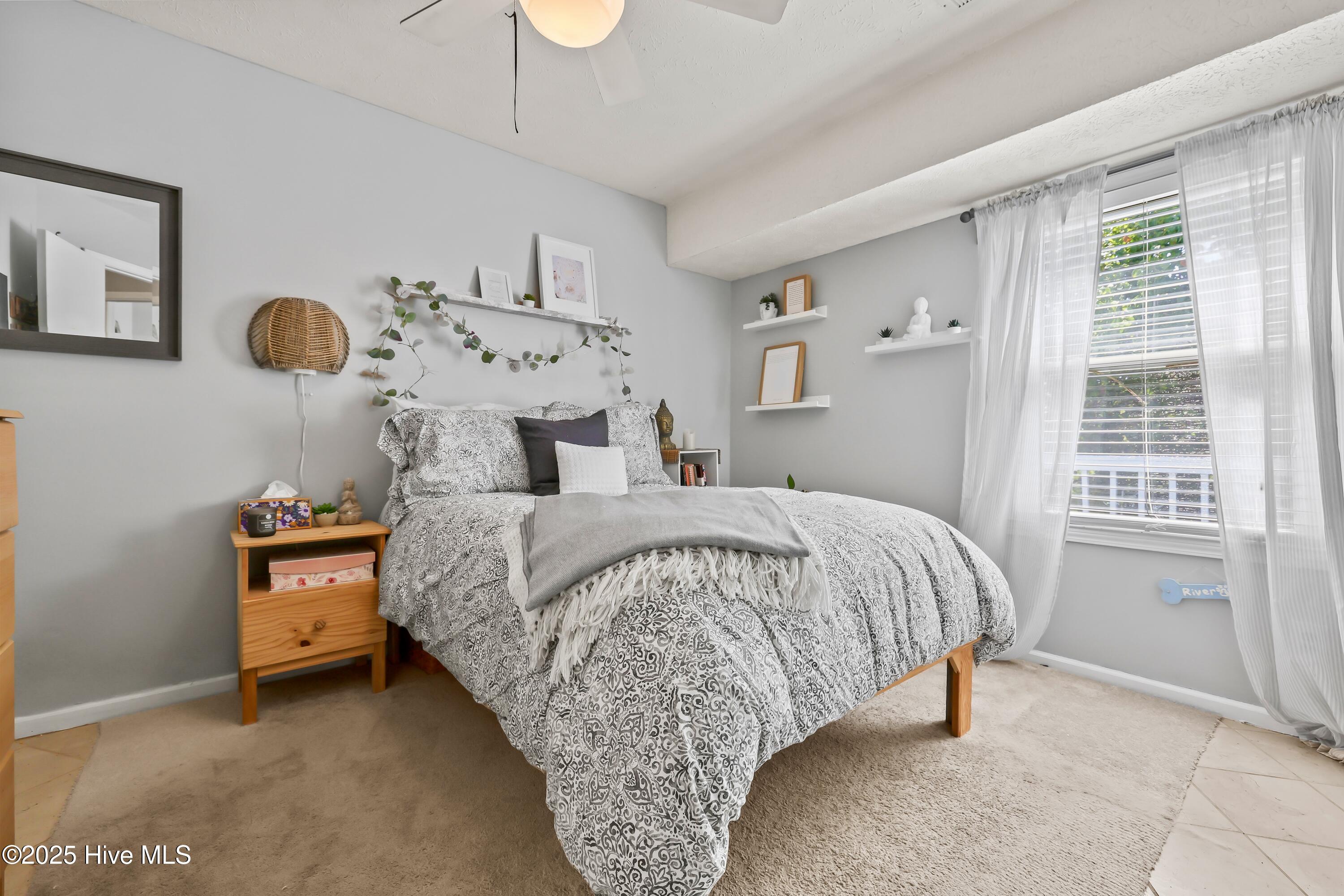 100519287 | Photo 21