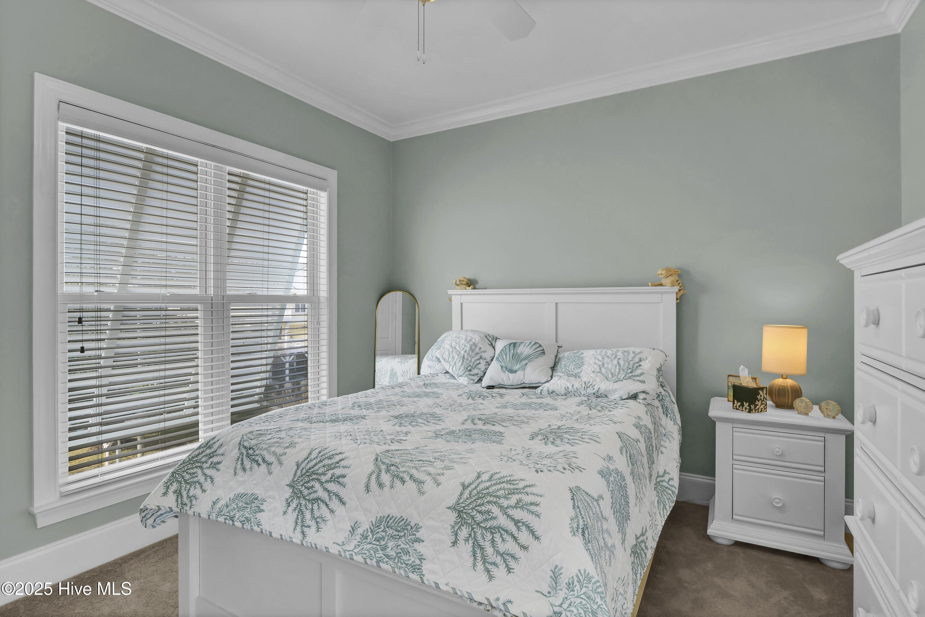 100526208 | Photo 20