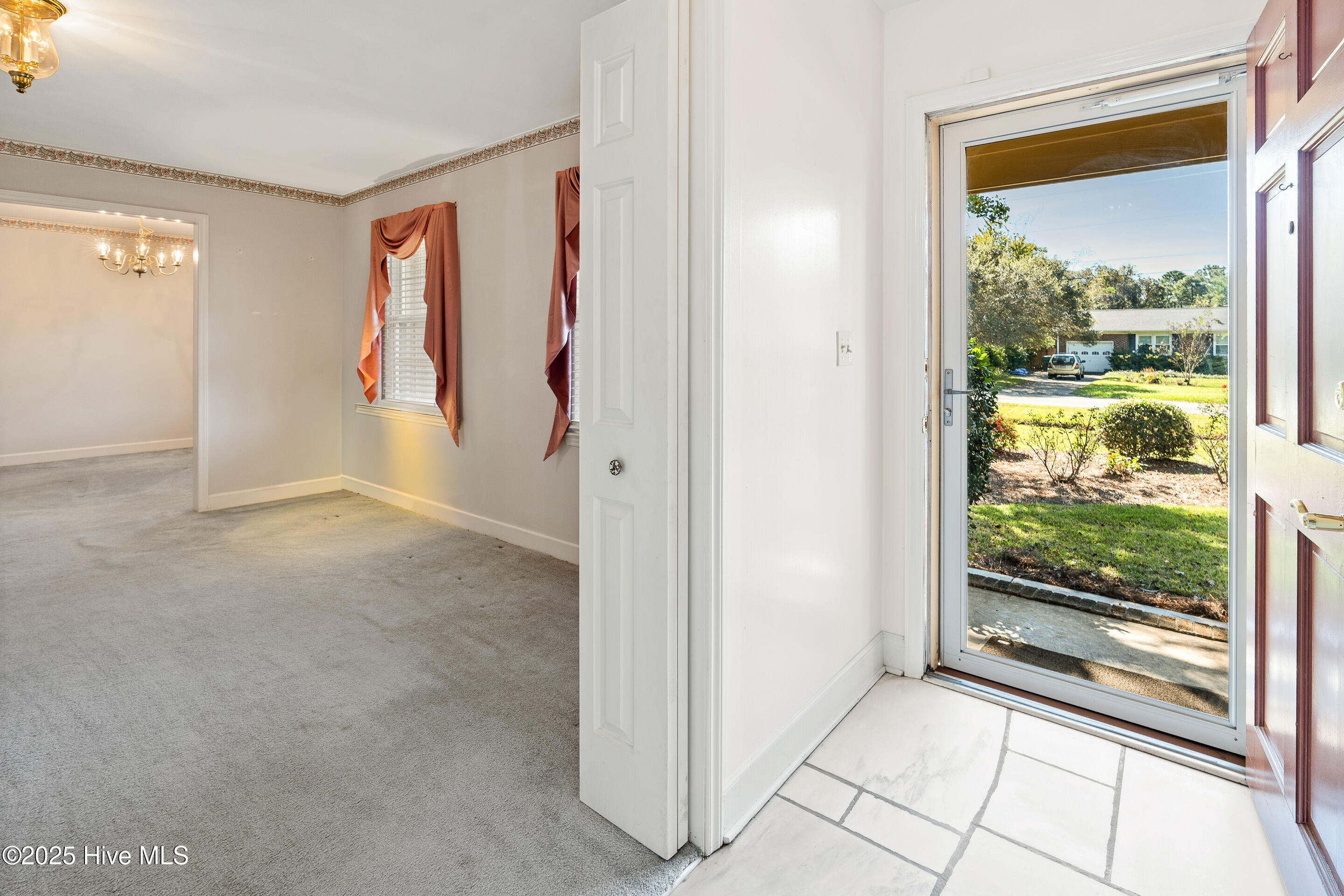 100536869 | Photo 12