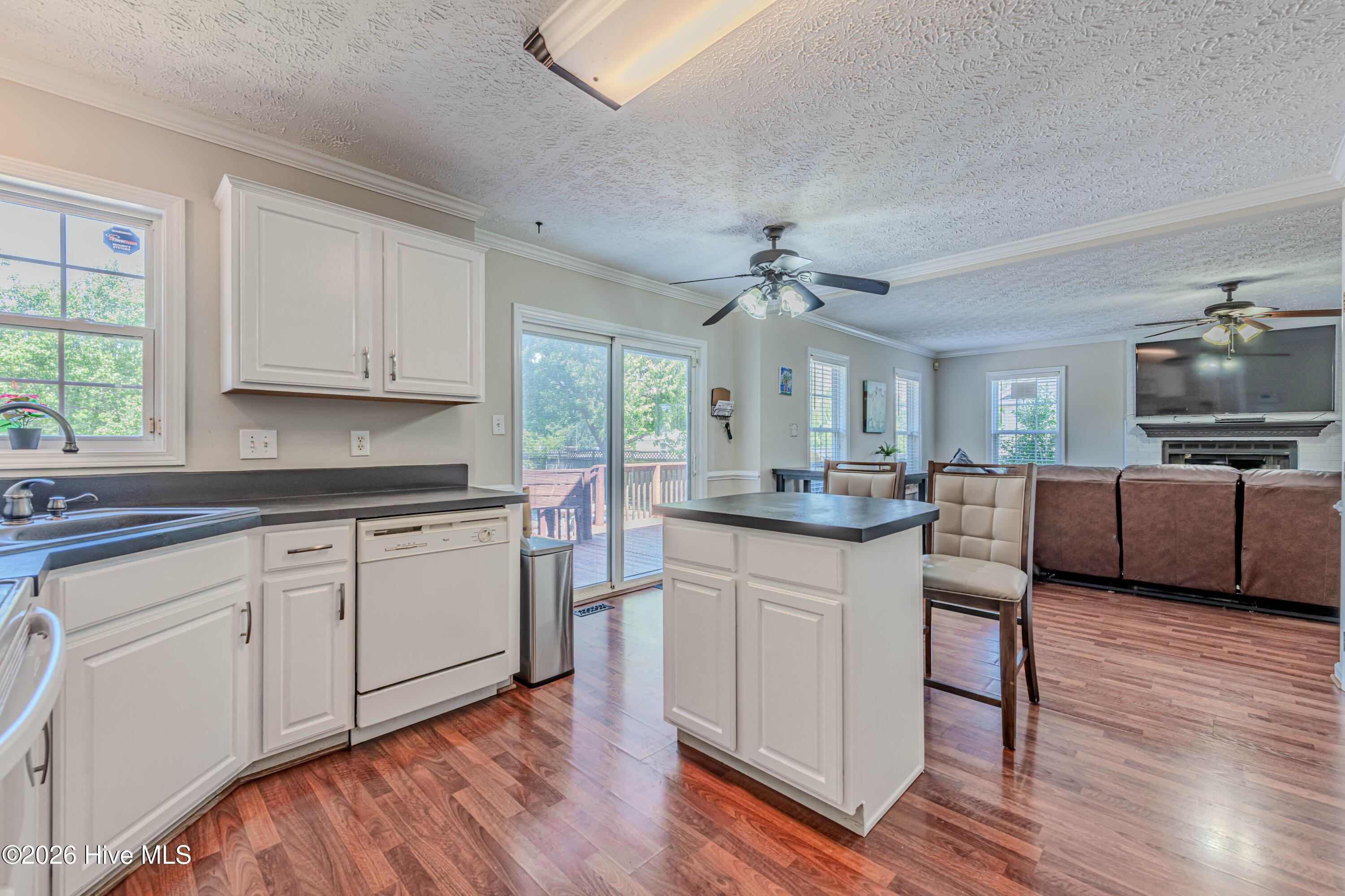 100569182 | Photo 19