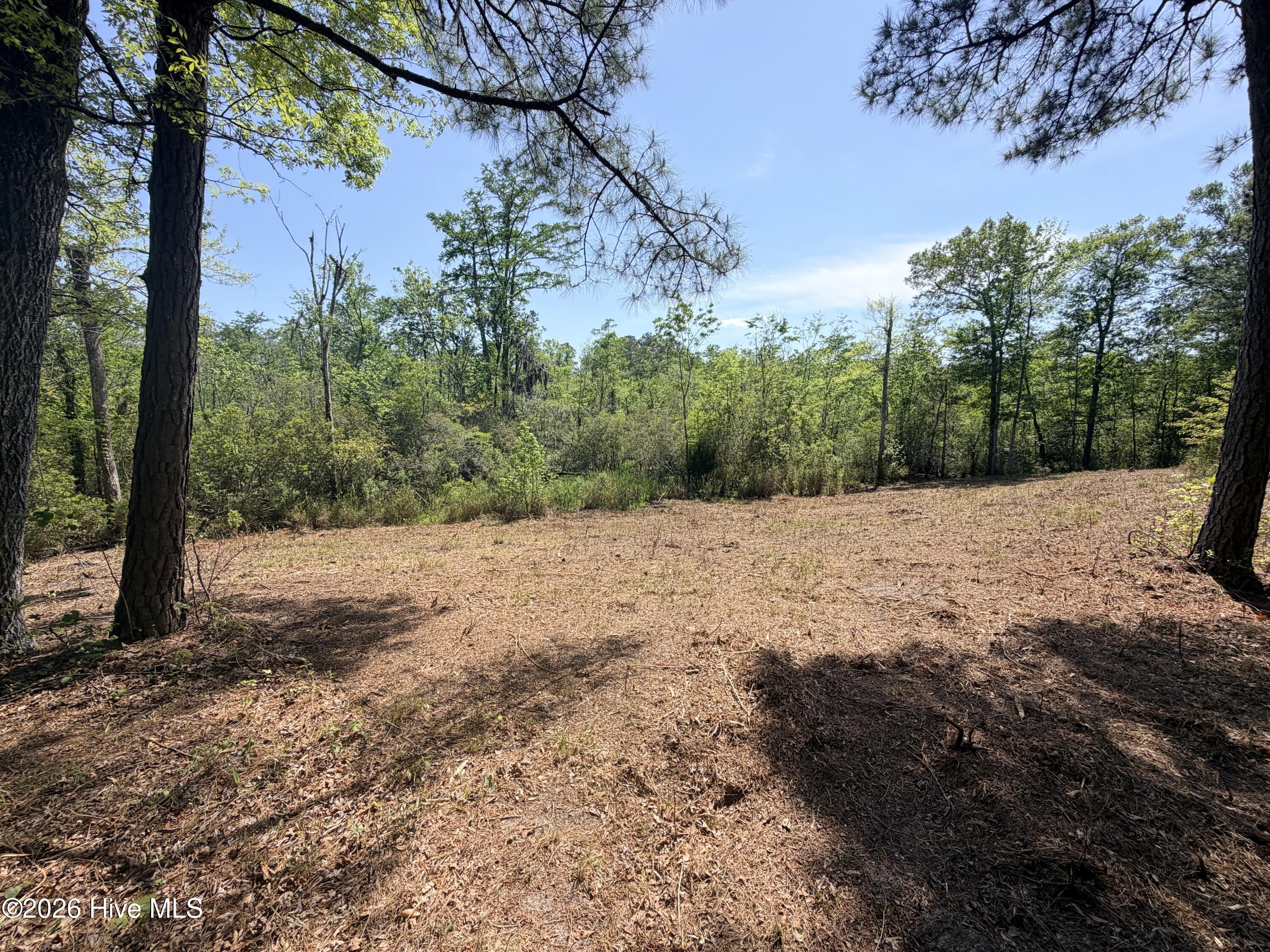 100568145 | Photo 18