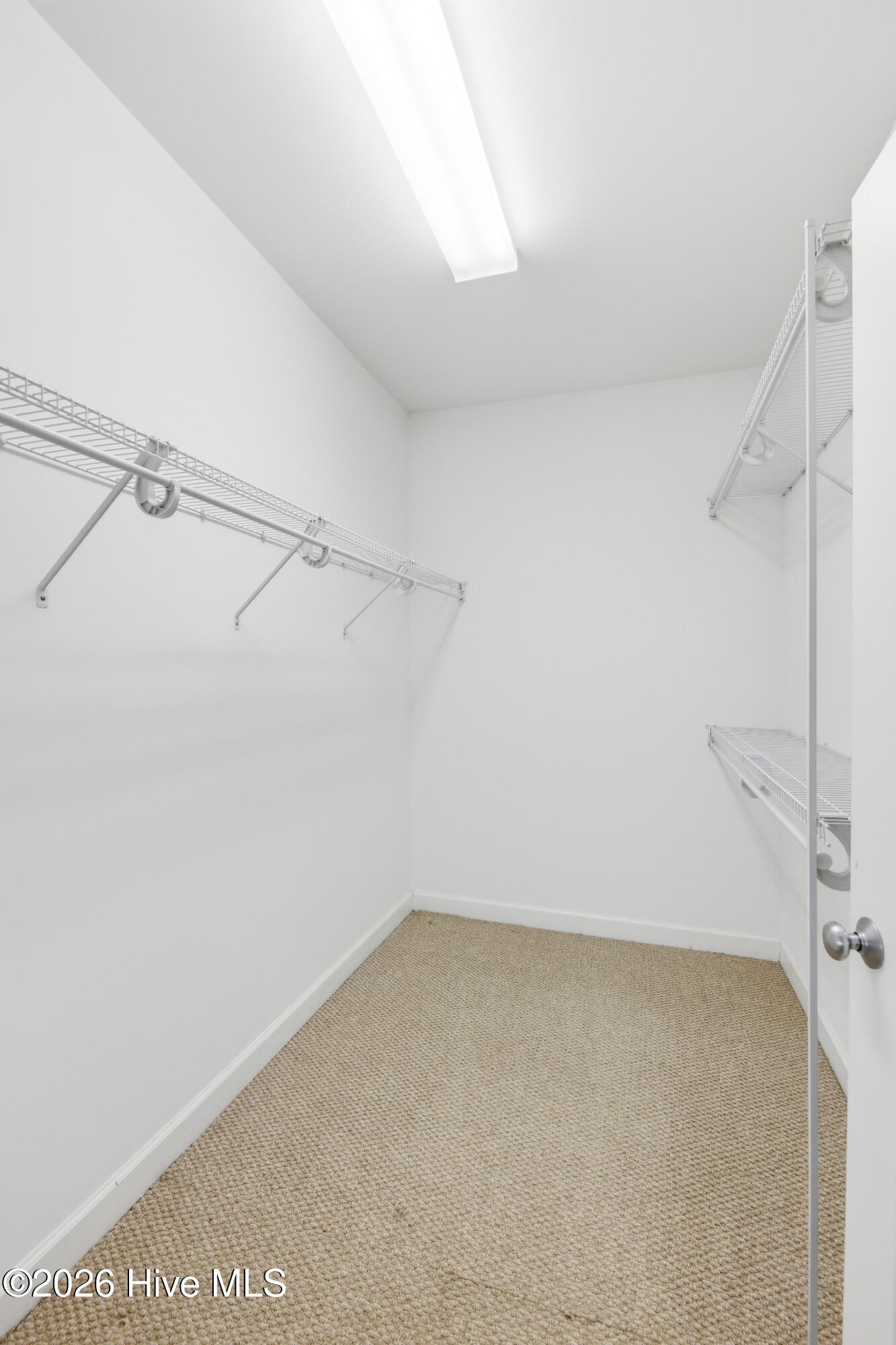 100569493 | Photo 12