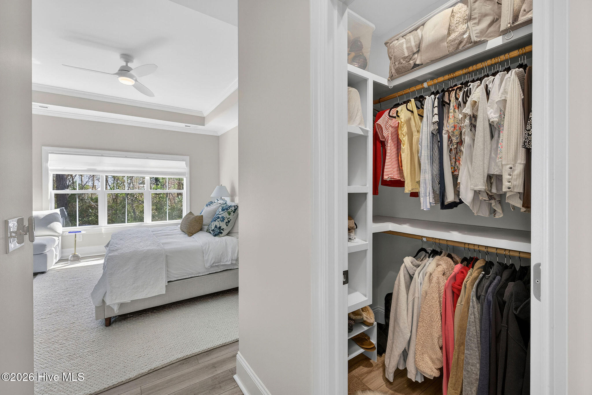 100558378 | Photo 22