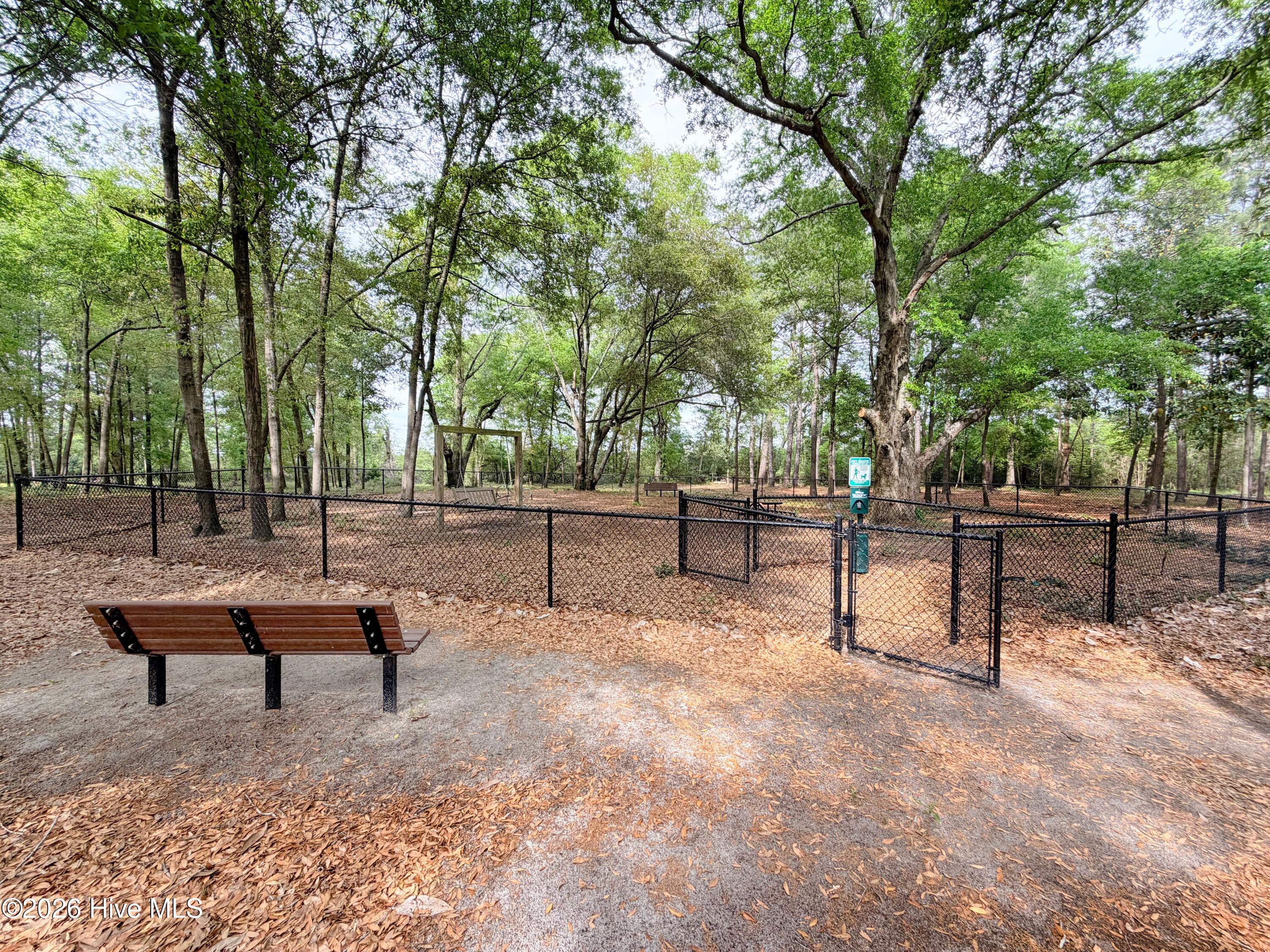 100565656 | Photo 65