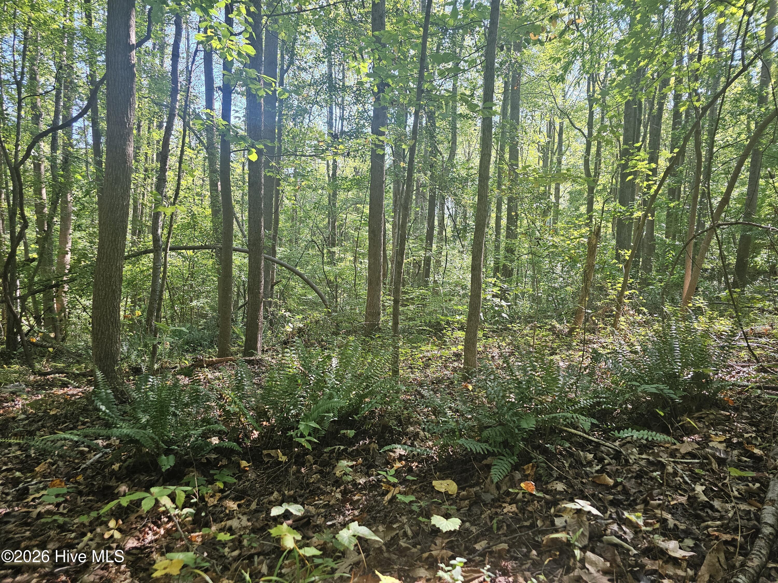 100610330 | Photo 2