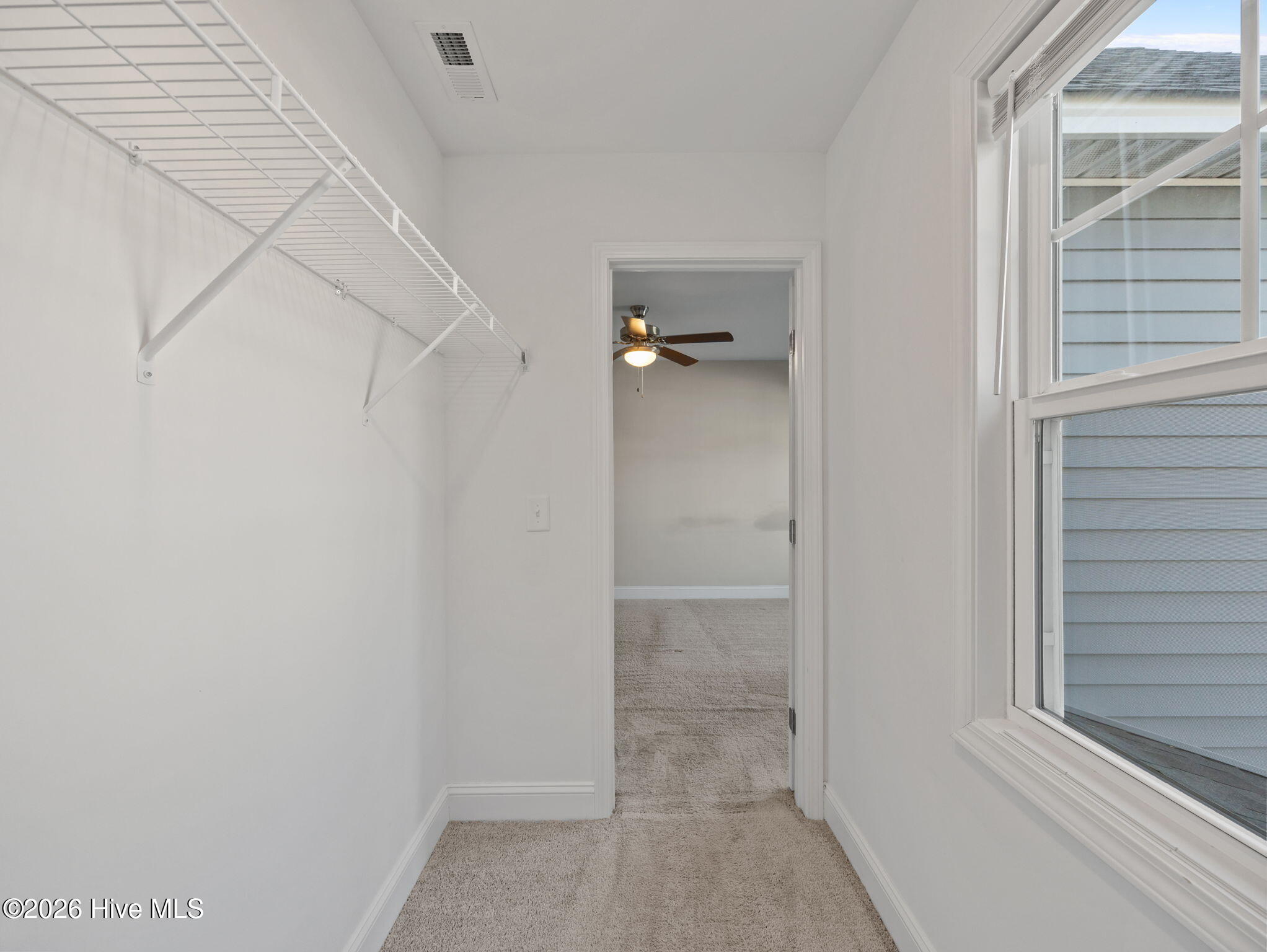 100565324 | Photo 31