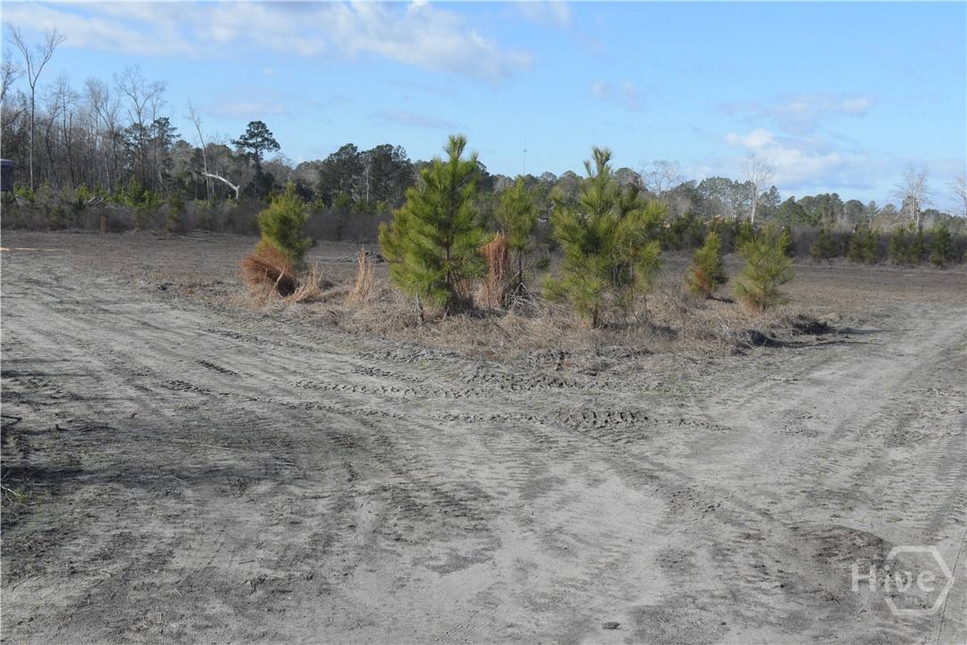 Homes for sale in Statesboro, GA | 0 Hwy 301, Statesboro, GA 30461 | MLS# SA346333