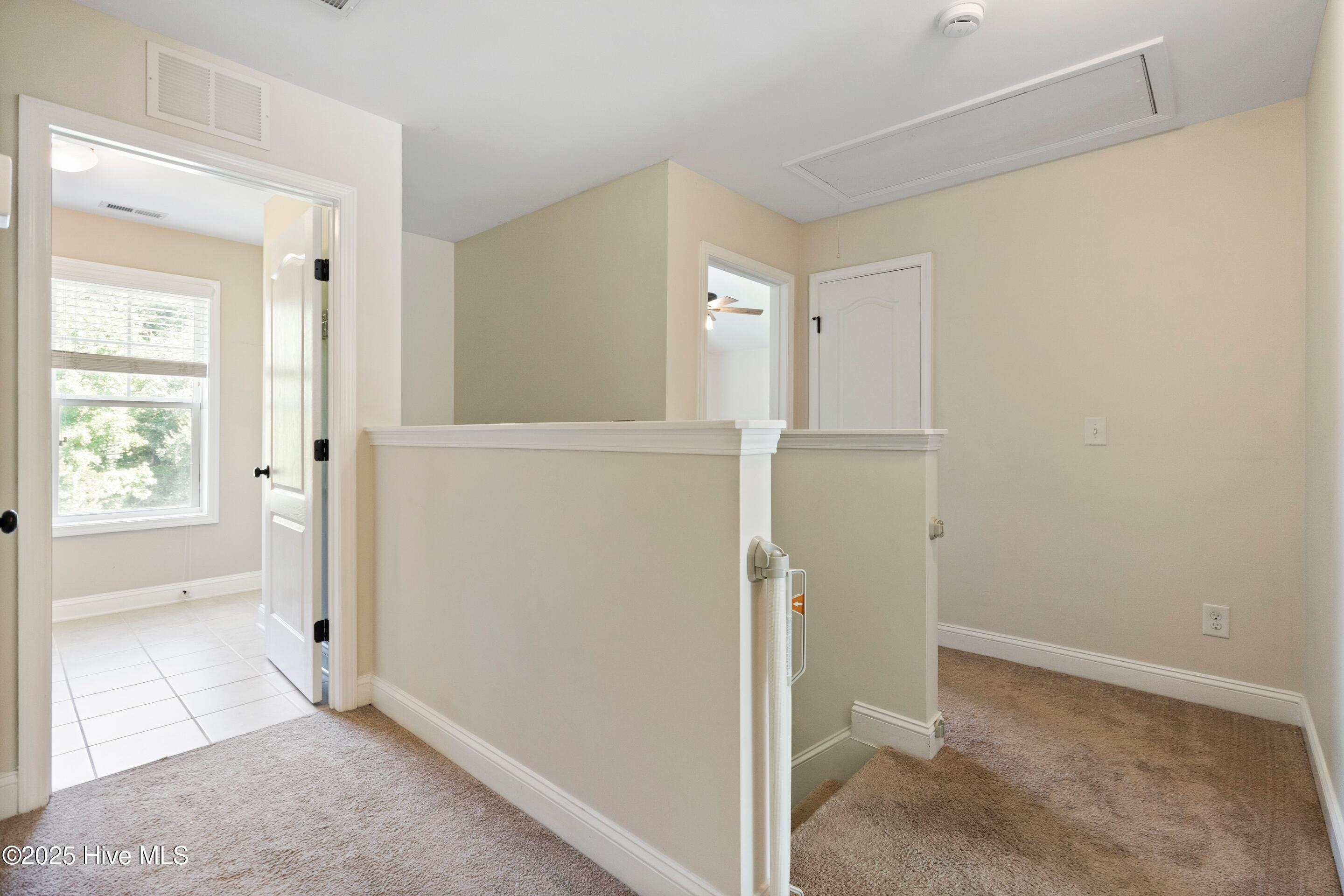 100506329 | Photo 39