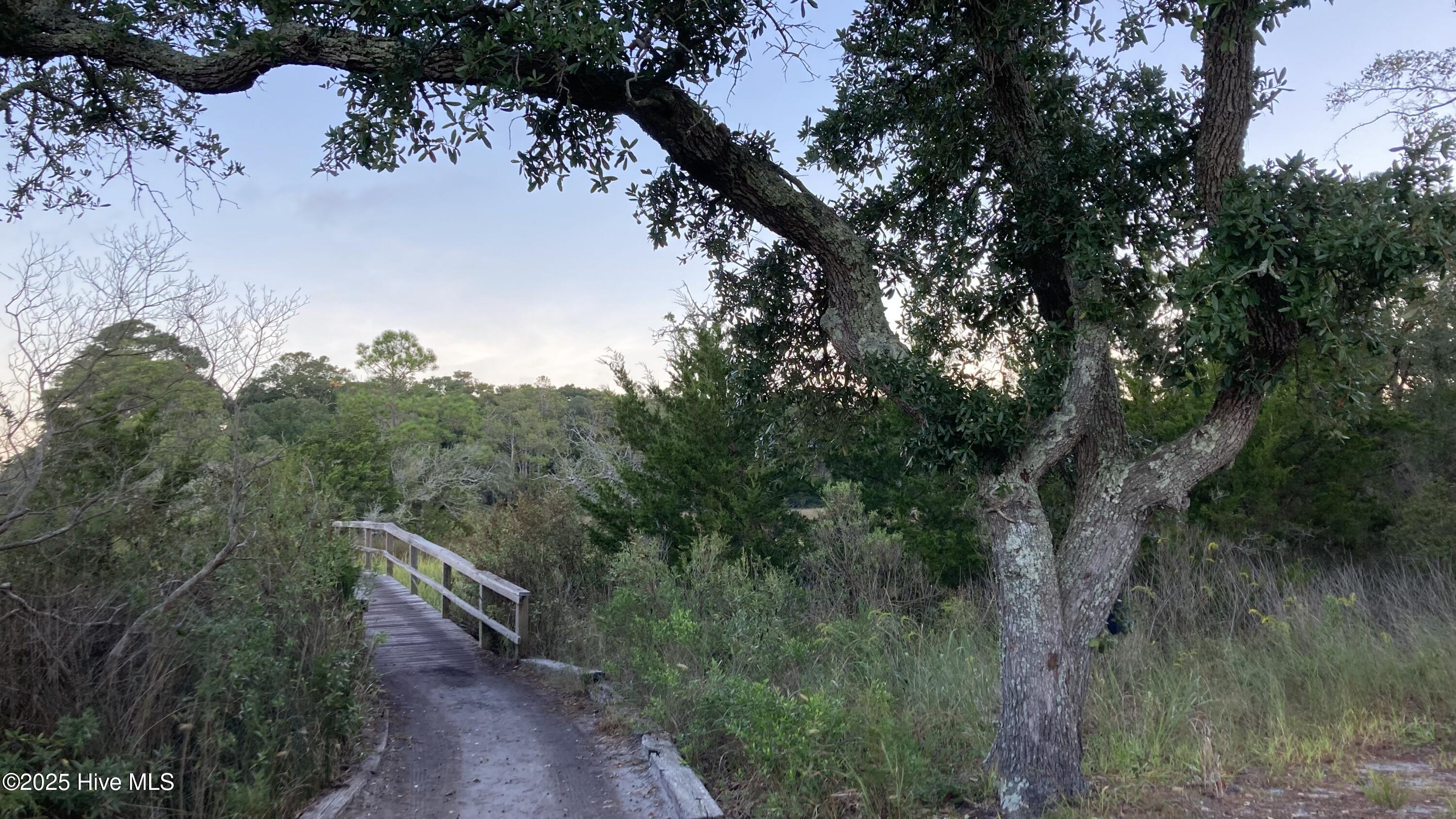 100536639 | Photo 88