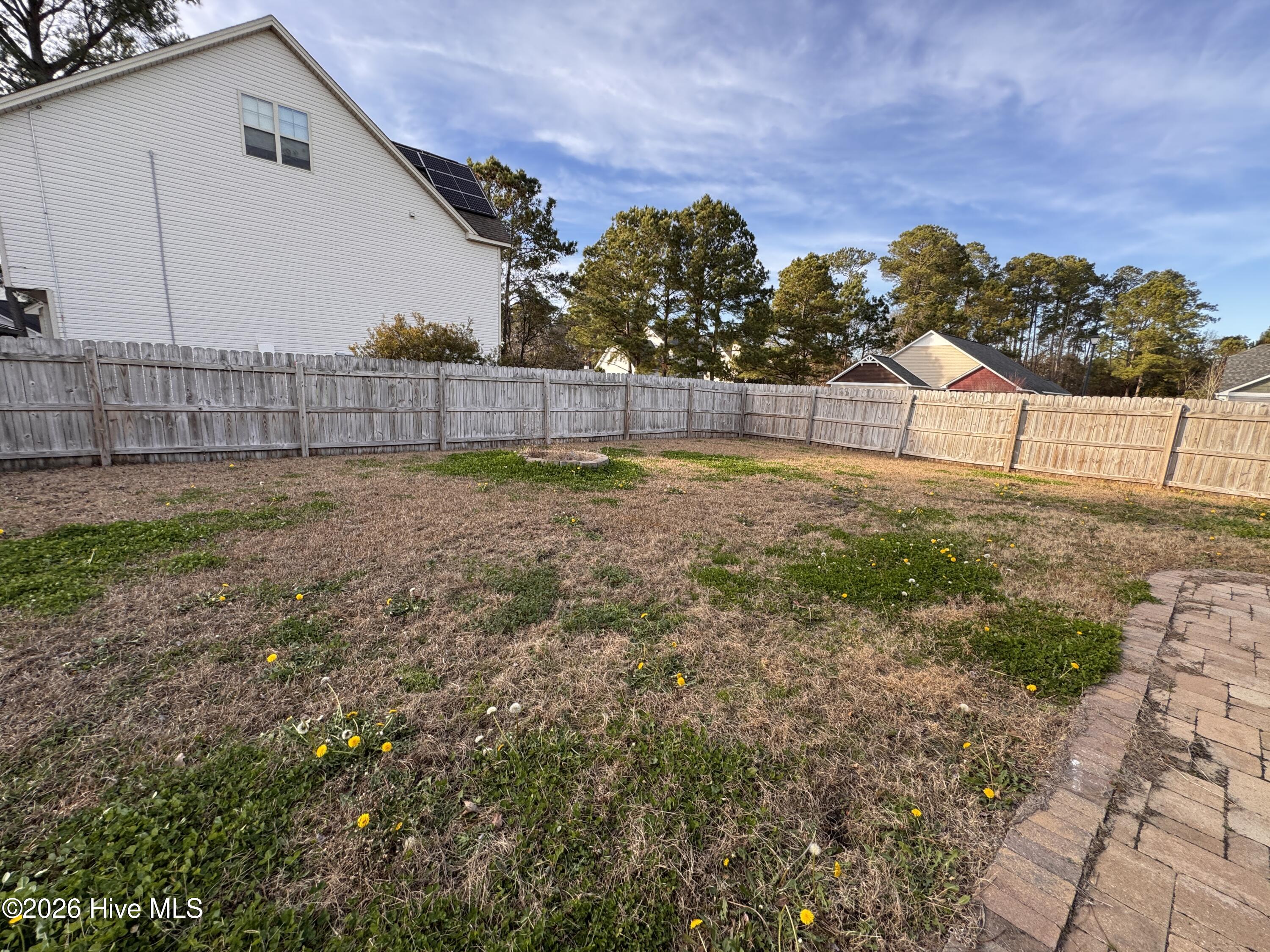 100550584 | Photo 23