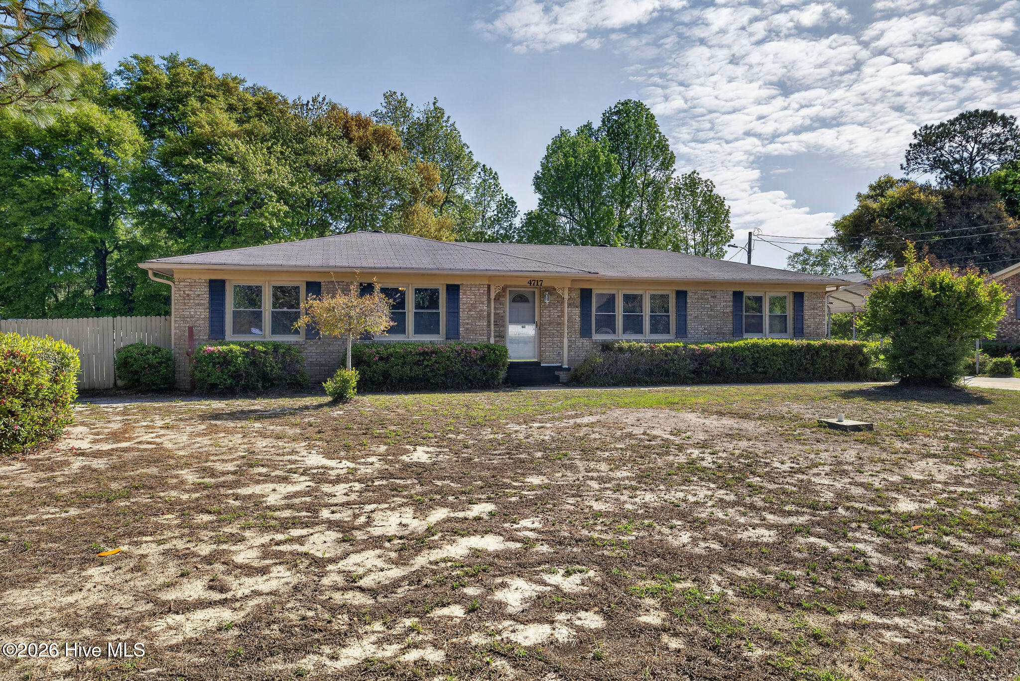 100566296 | Photo 33