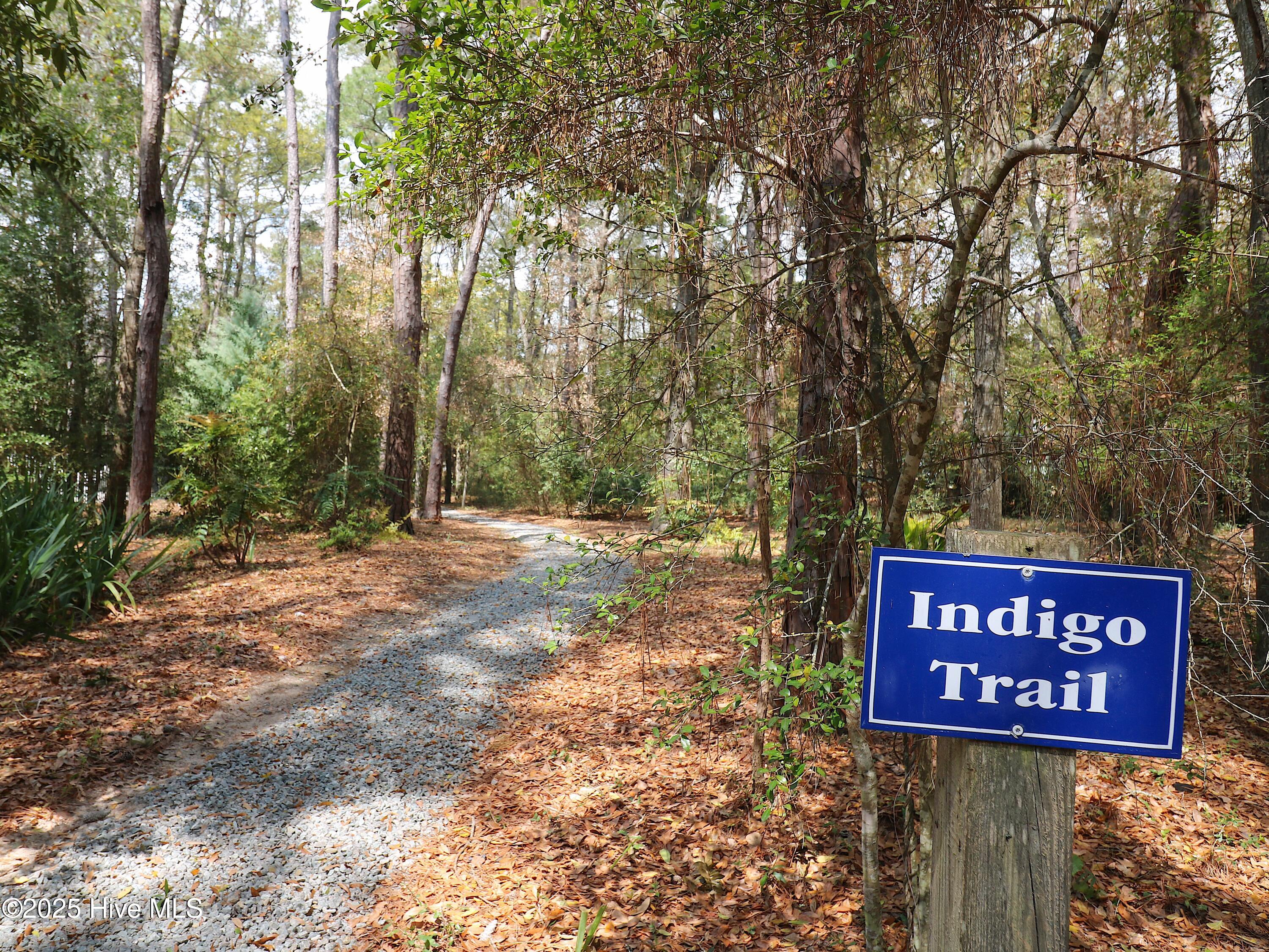 100504796 | Photo 70