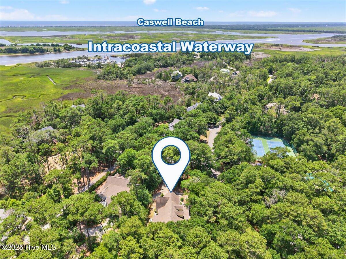 100518742 | Photo 41