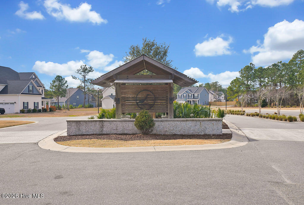 100555999 | Photo 38