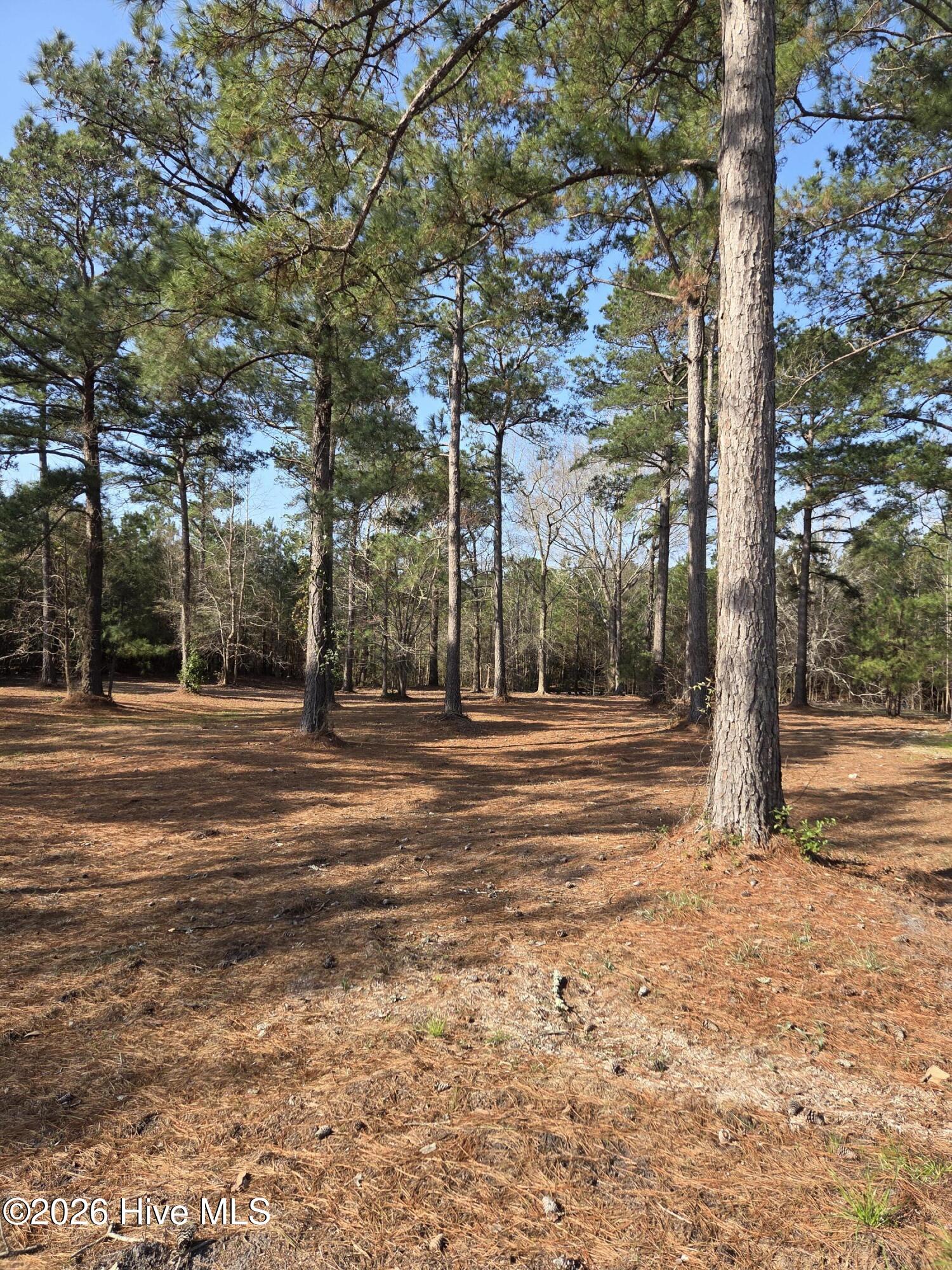 Homes for sale in Sunset Beach, NC | 7423 Branford Cir Sw, Sunset Beach, NC 28468 | MLS# 100557790