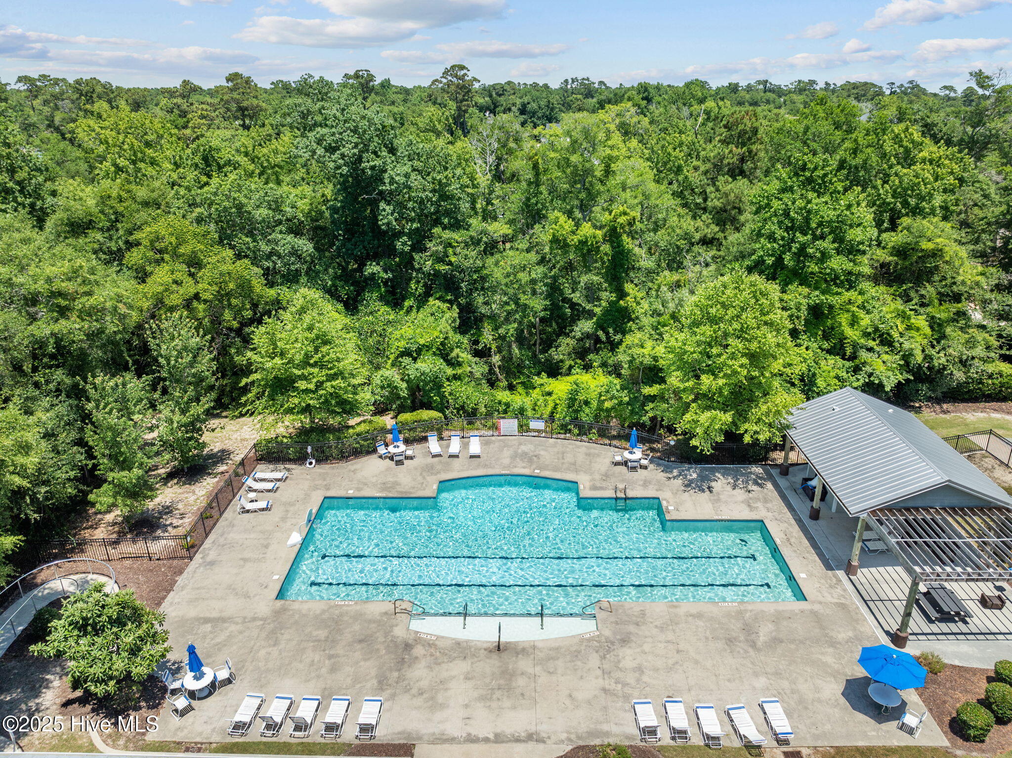 100550410 | Photo 81