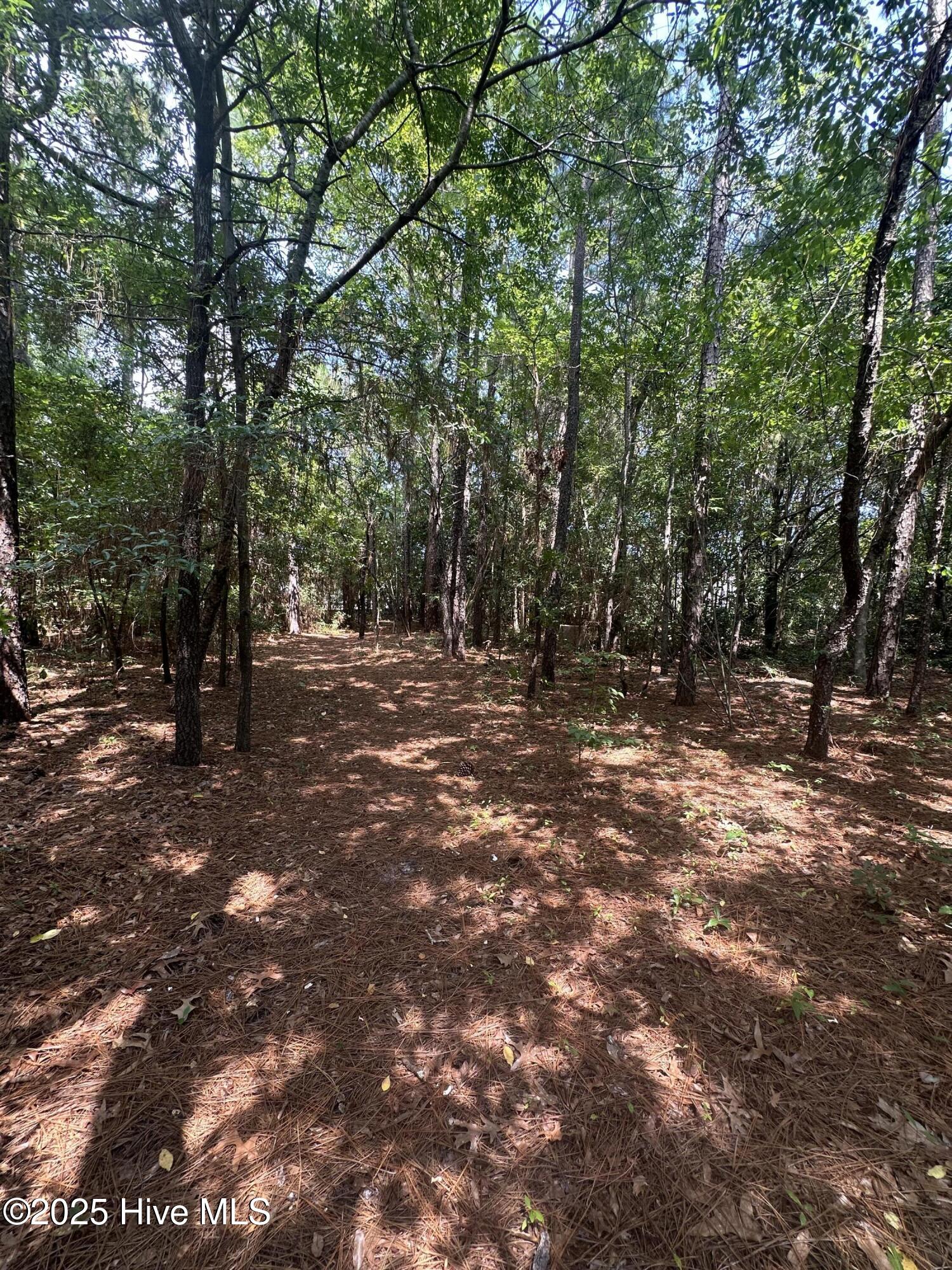 100526280 | Photo 47