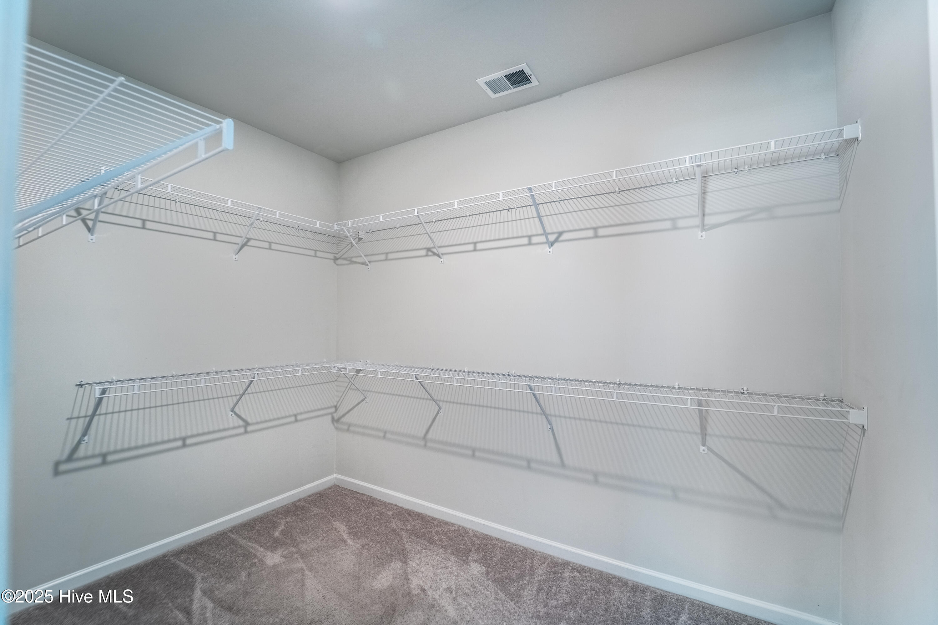 100515314 | Photo 21