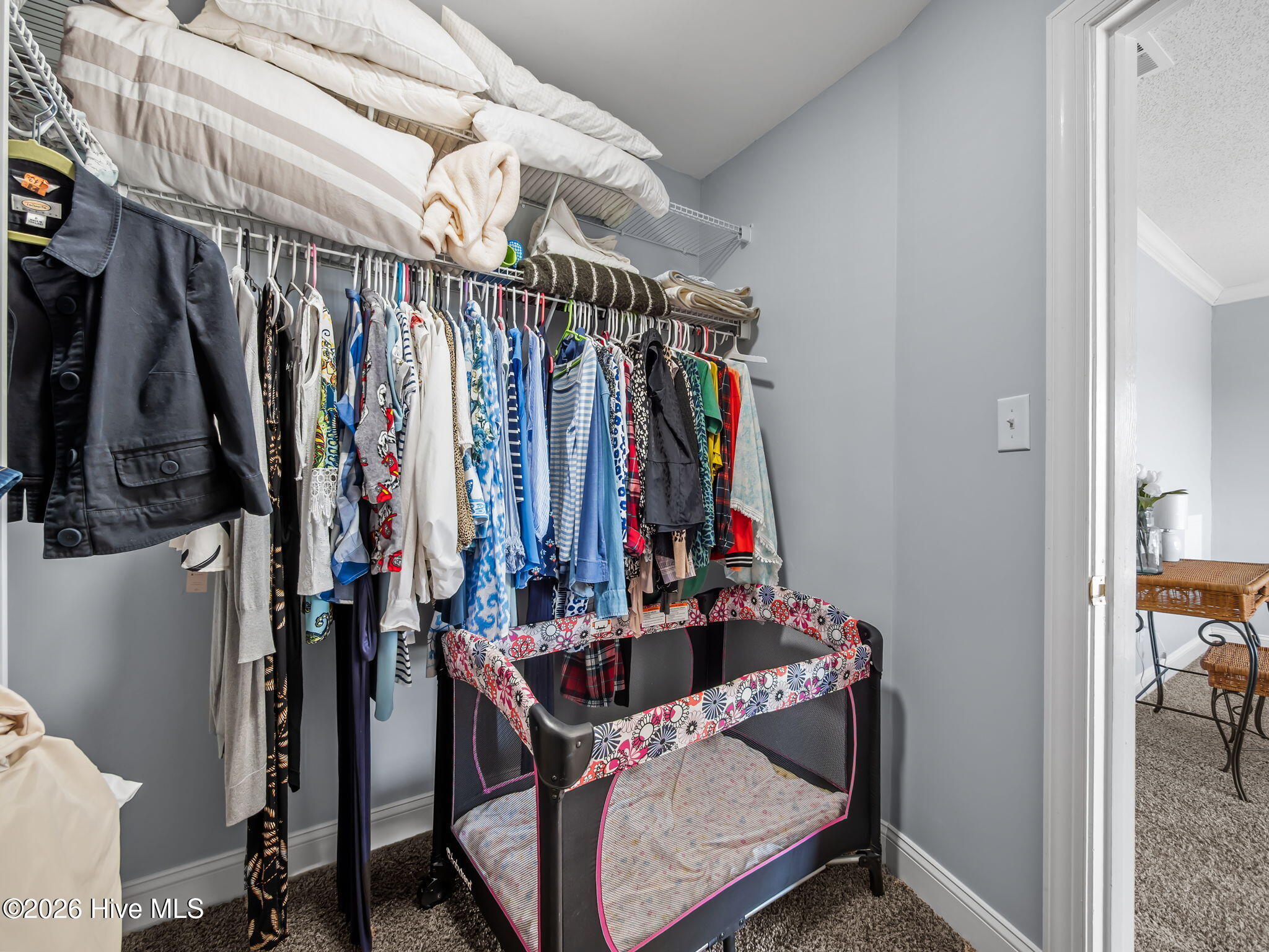 100554527 | Photo 27