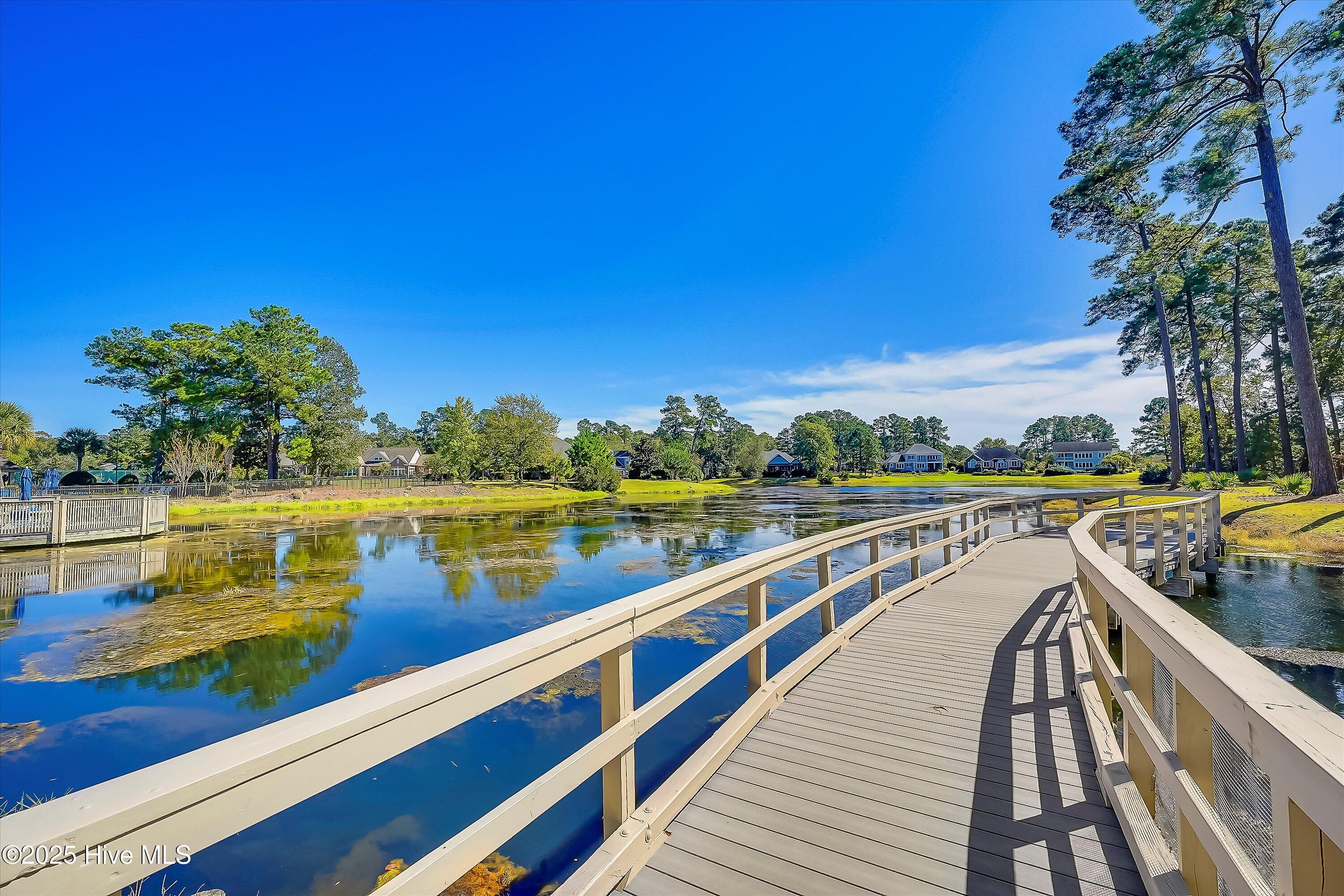 100528105 | Photo 61