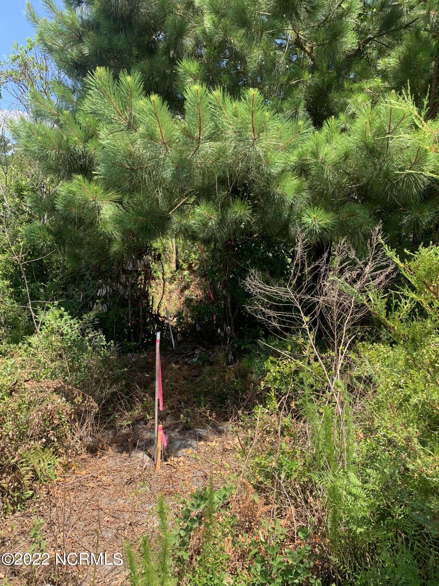 100556389 | Photo 25