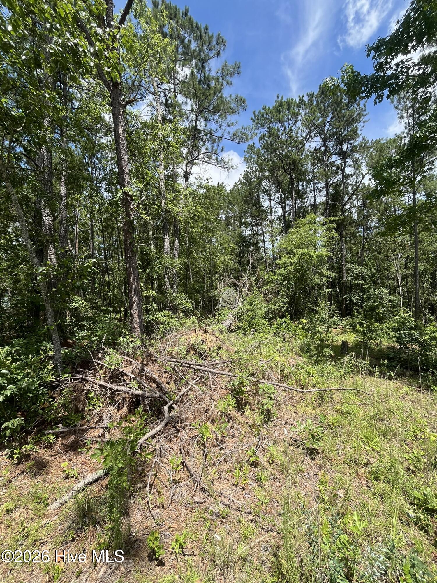 Photo 4 of Land for sale at 160 Charlene Dr, Hephzibah, GA 30815 | MLS# 100605713 | Listing updated on 2026-09-23