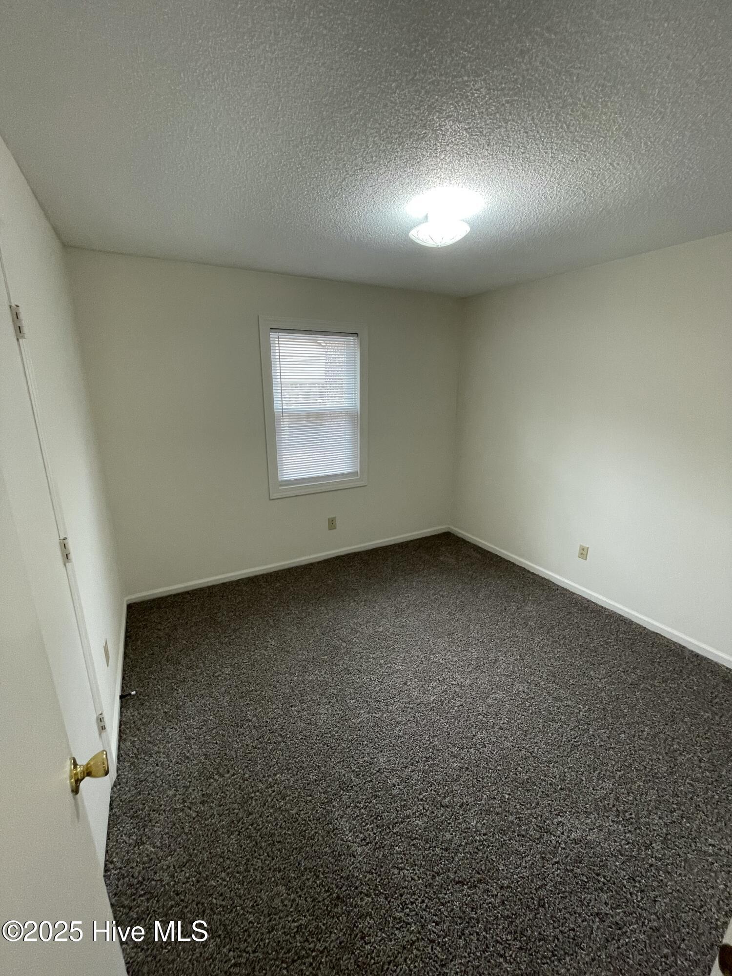 100544431 | Photo 13