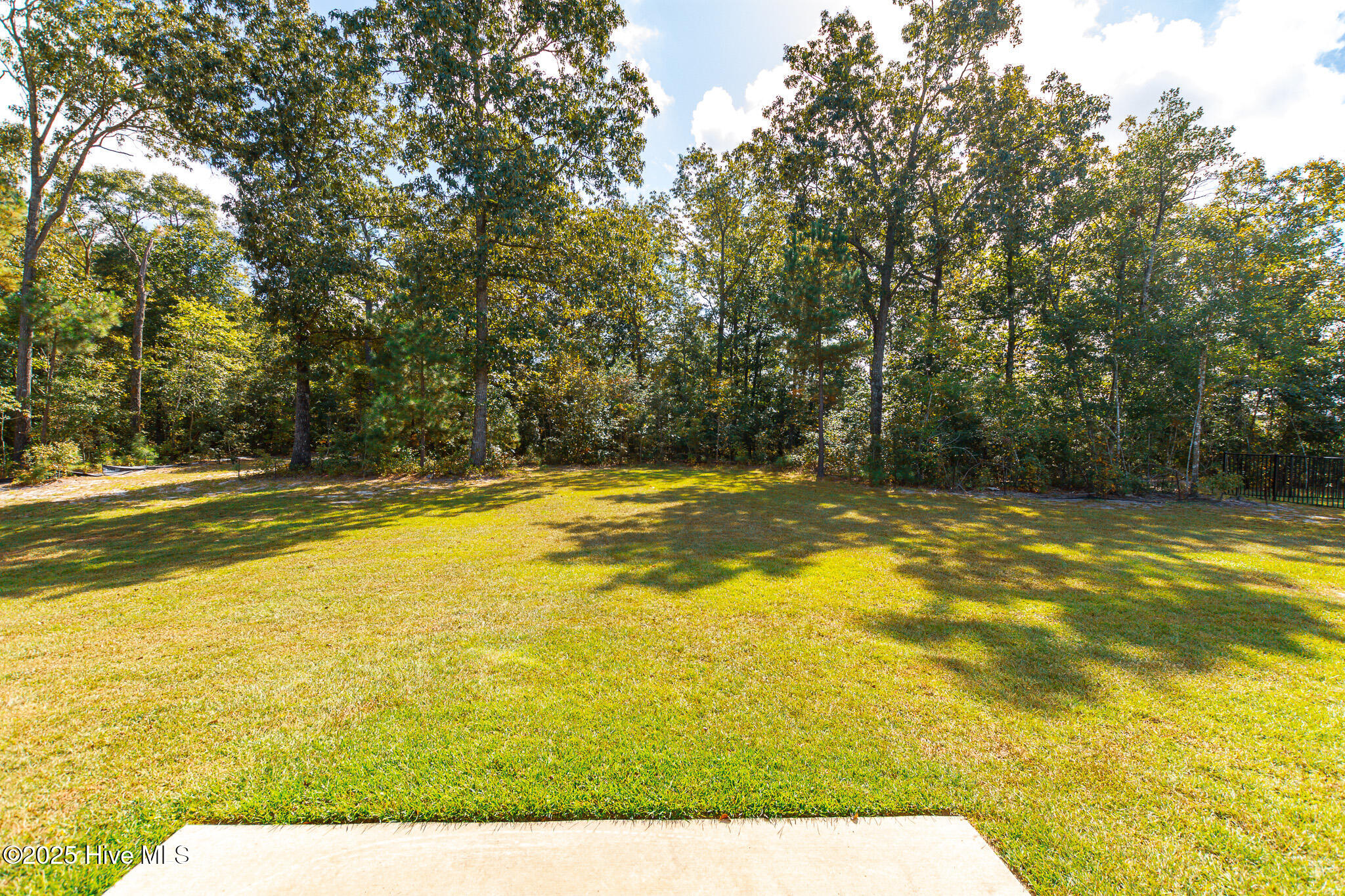 100531968 | Photo 44