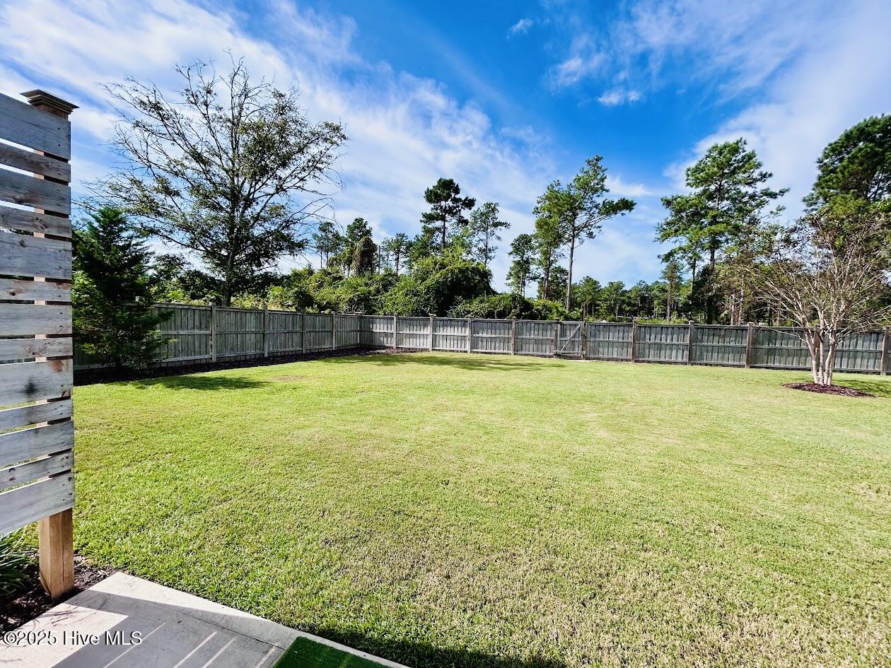 100534621 | Photo 61